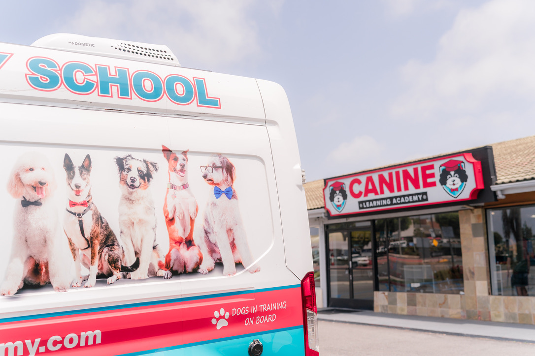 Canine Learning Academy Sunset Beach