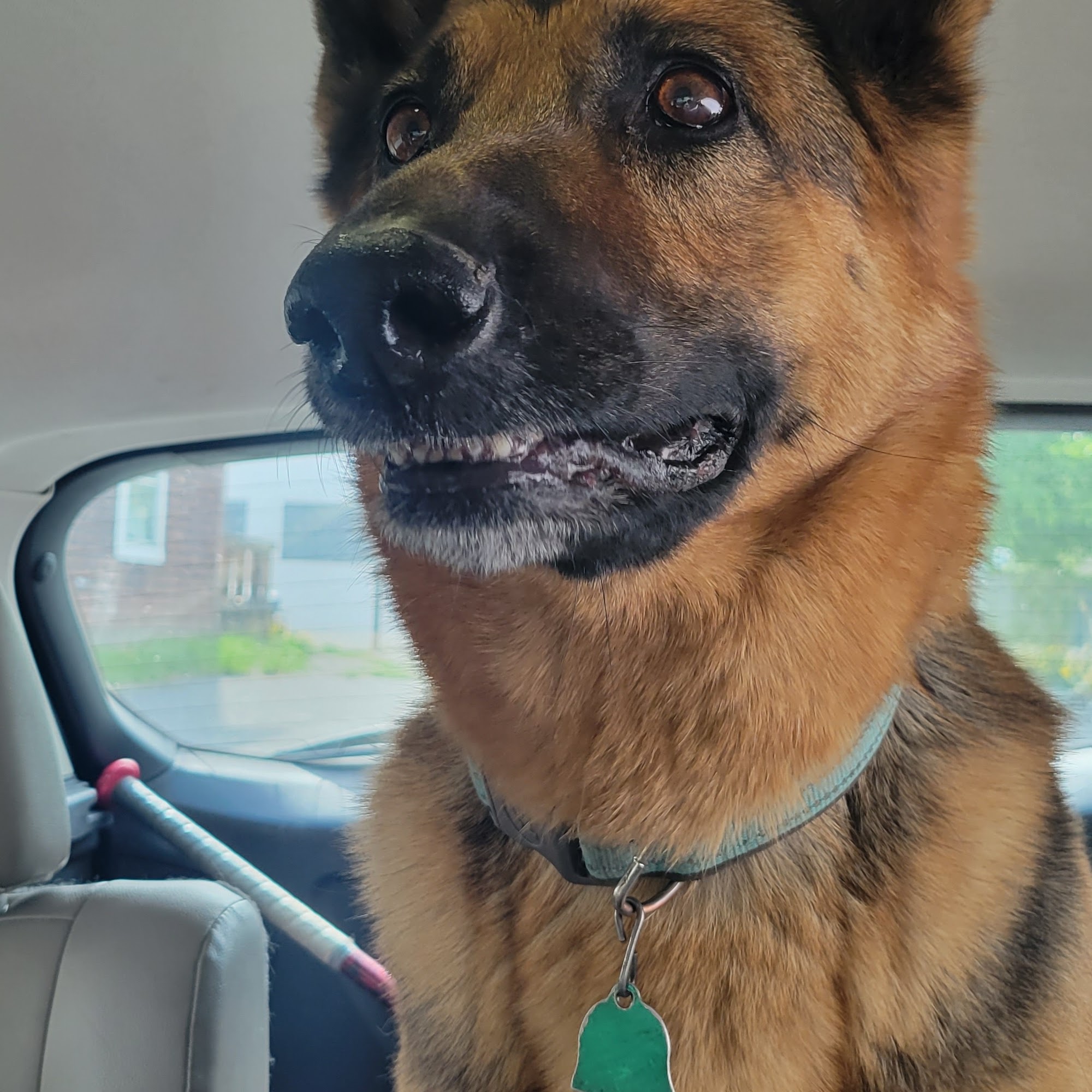 Boyd Taylor Veterinary Hospital Susanville