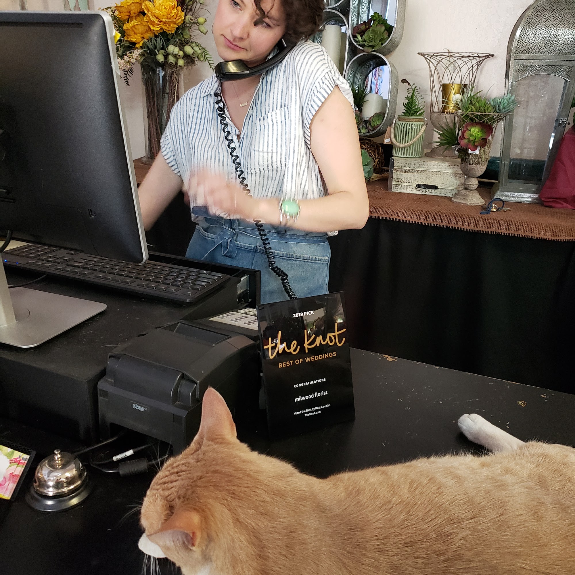 Treats Pet Supply Susanville