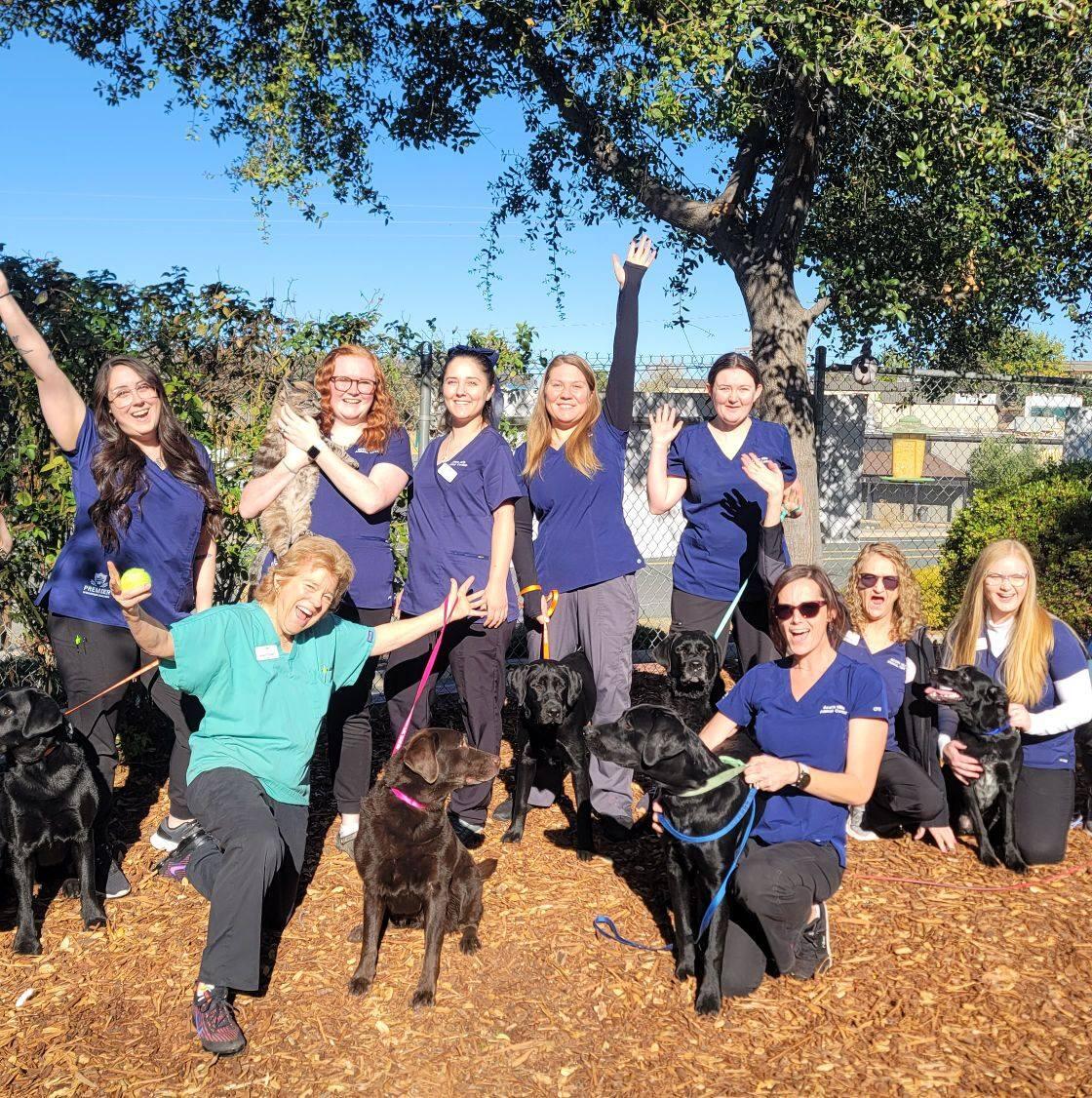 Acorn Hills Animal Center / Amador Veterinary Emergency Clinic Sutter Creek