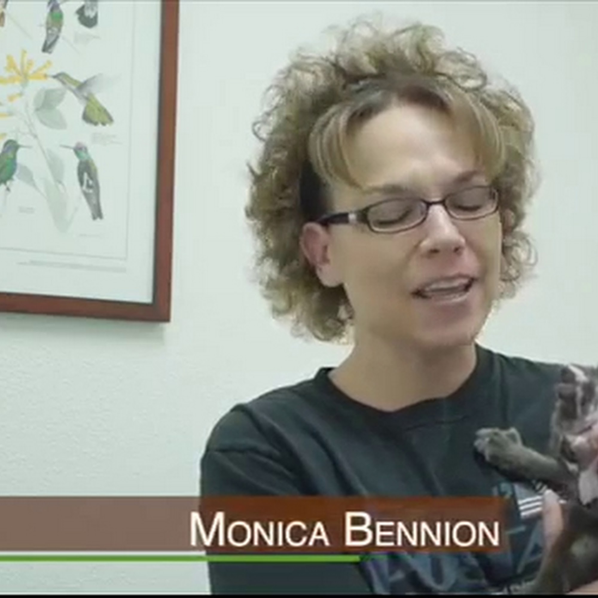 Acorn Hills Animal Center / Amador Veterinary Emergency Clinic Sutter Creek