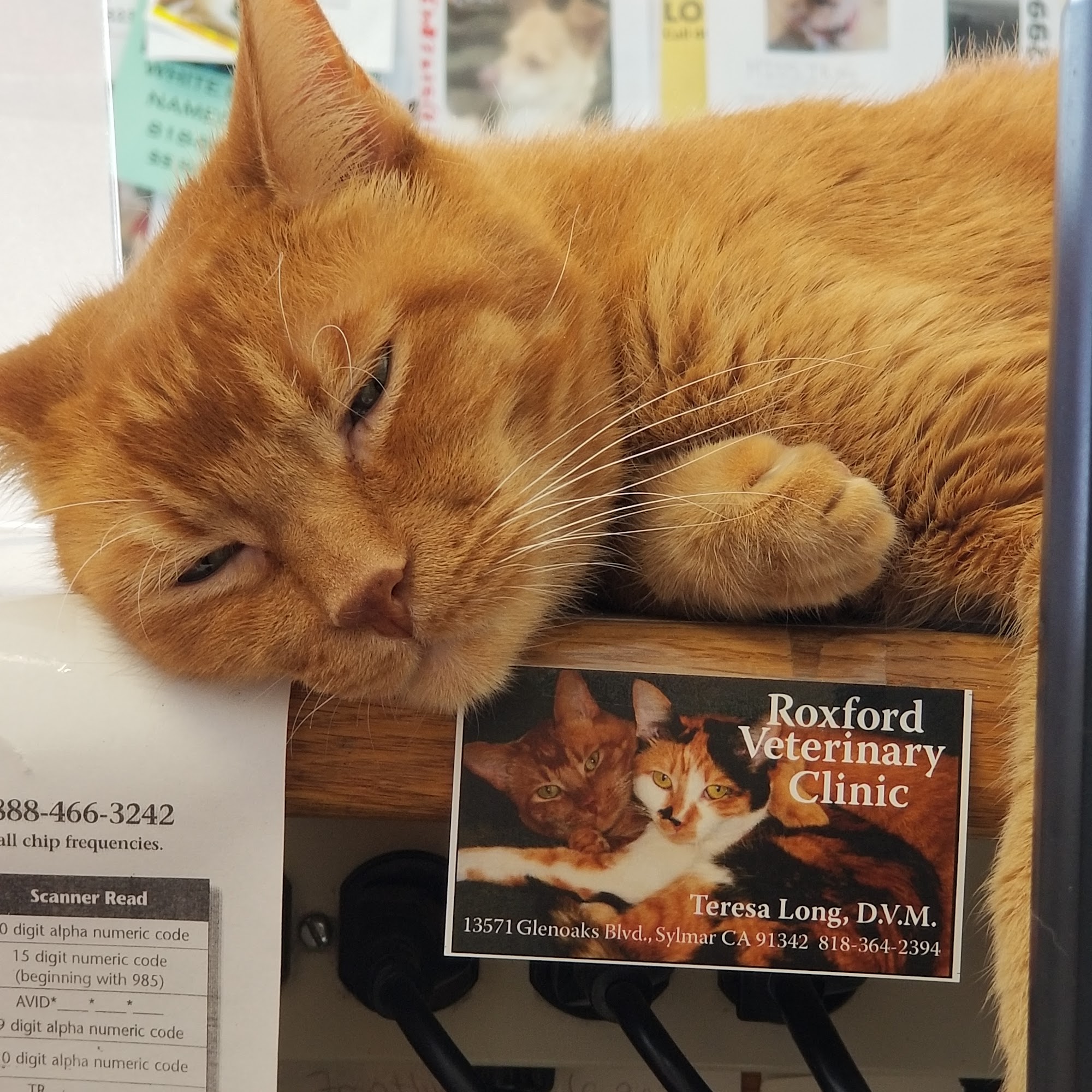 Roxford Veterinary Clinic Sylmar