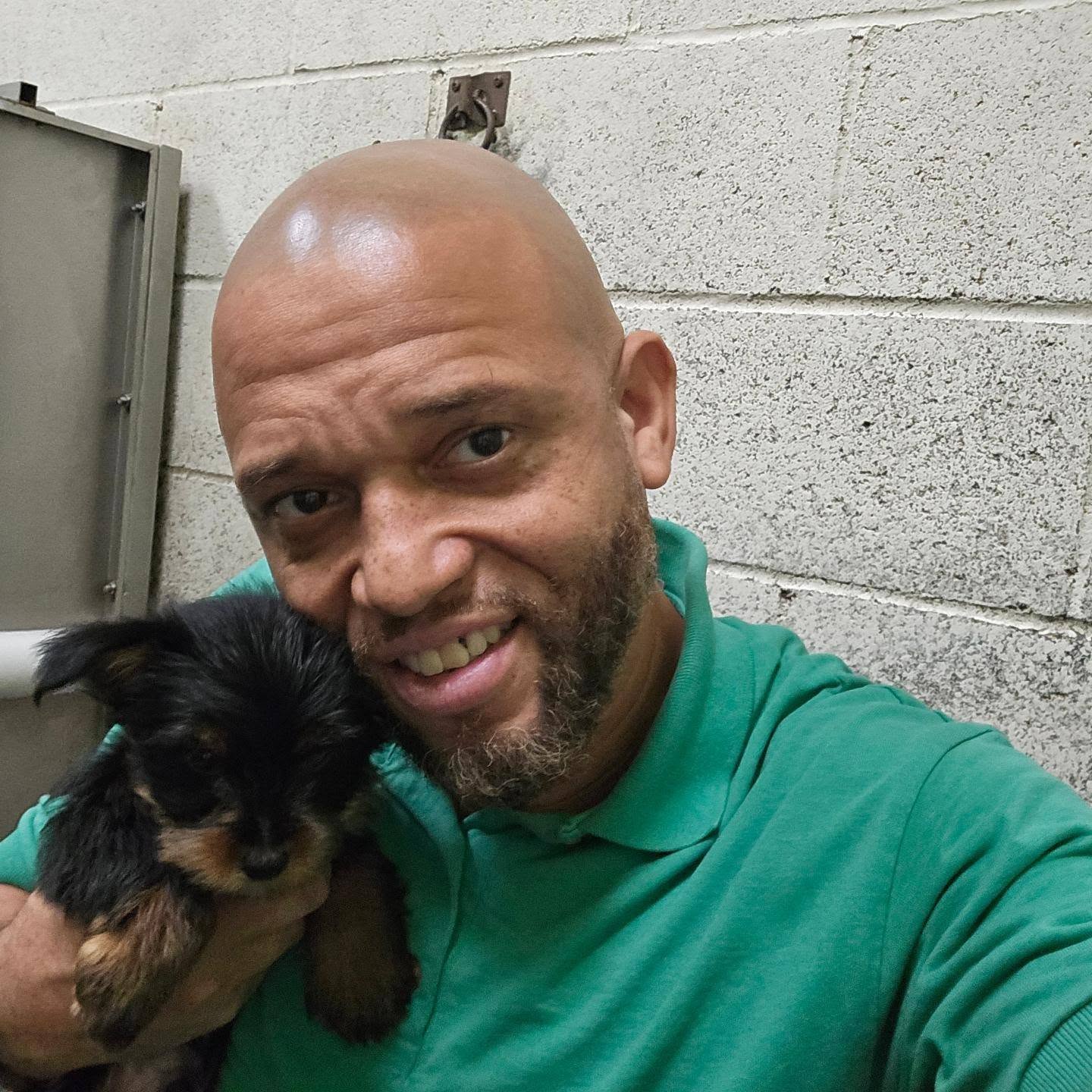 Wash My Dog LLC Sylmar