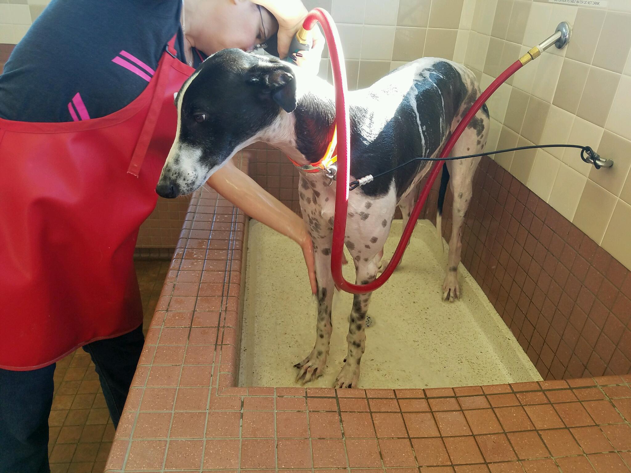 Pet Food Express Tarzana