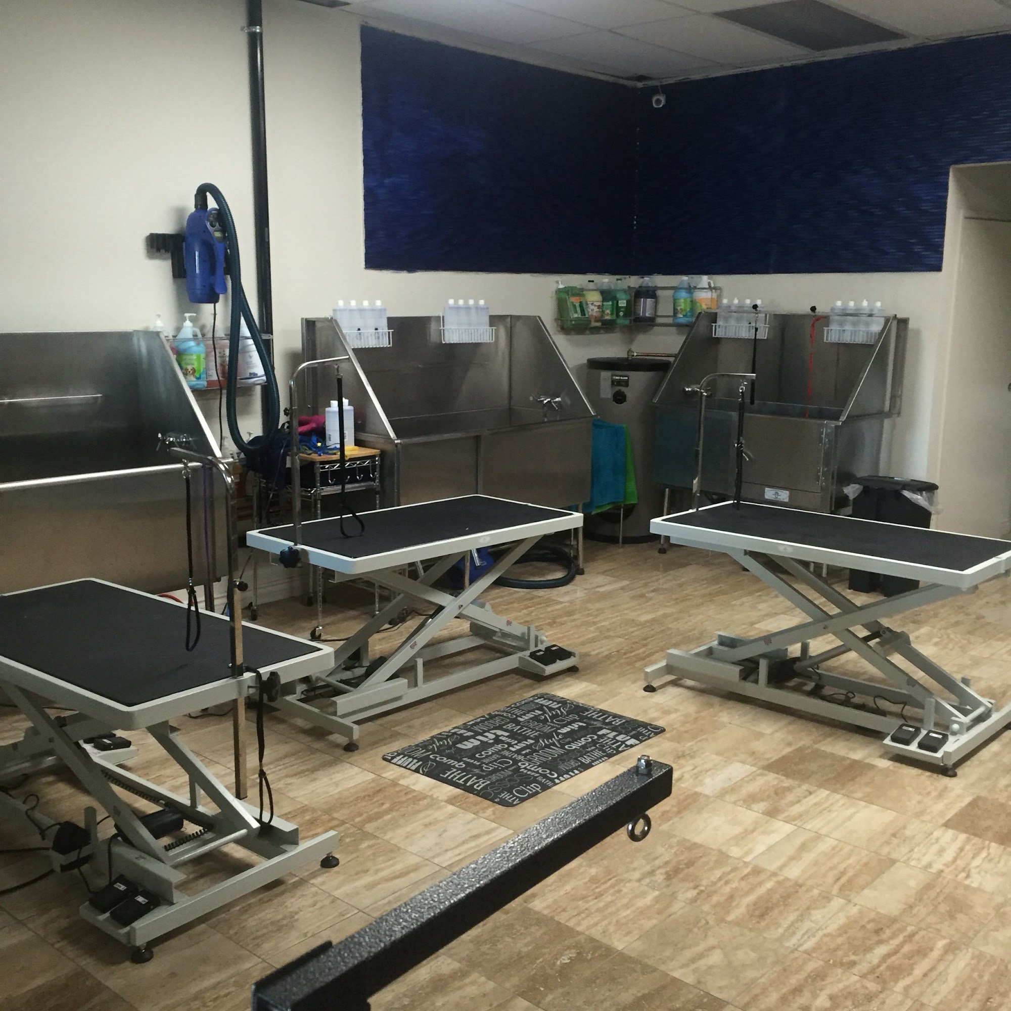 Clean Cut Grooming Tarzana