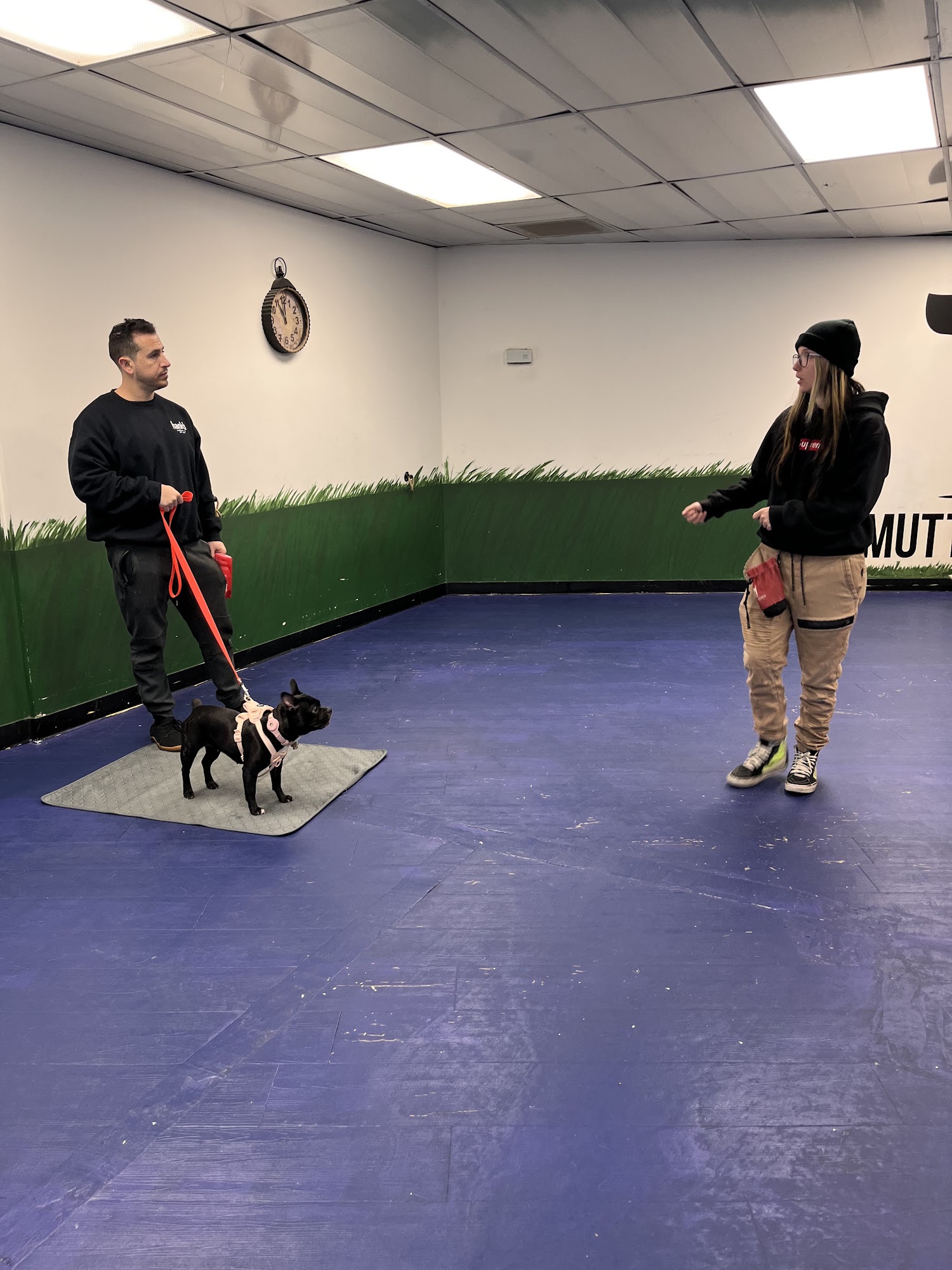 Mutts + Munch Tarzana