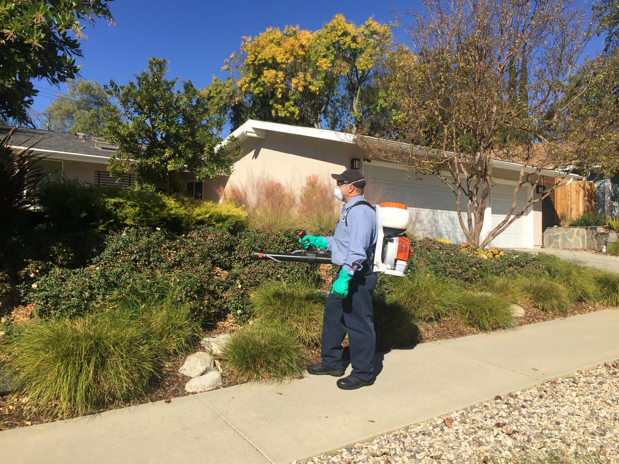 Photo credit: nextdoor
