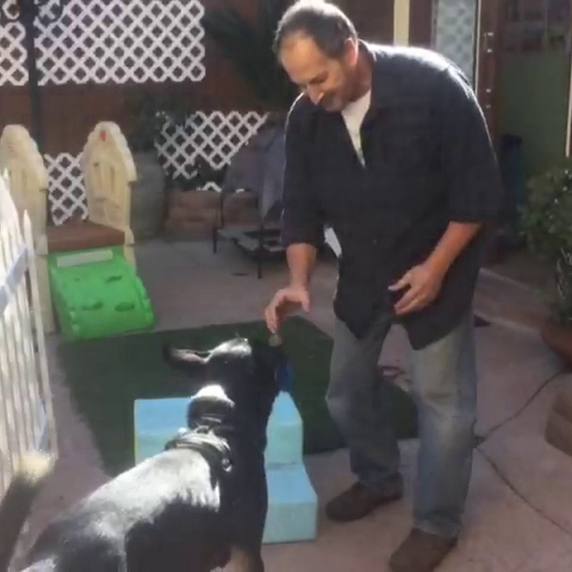 Fay’s Loving Pets Boarding Services Tarzana