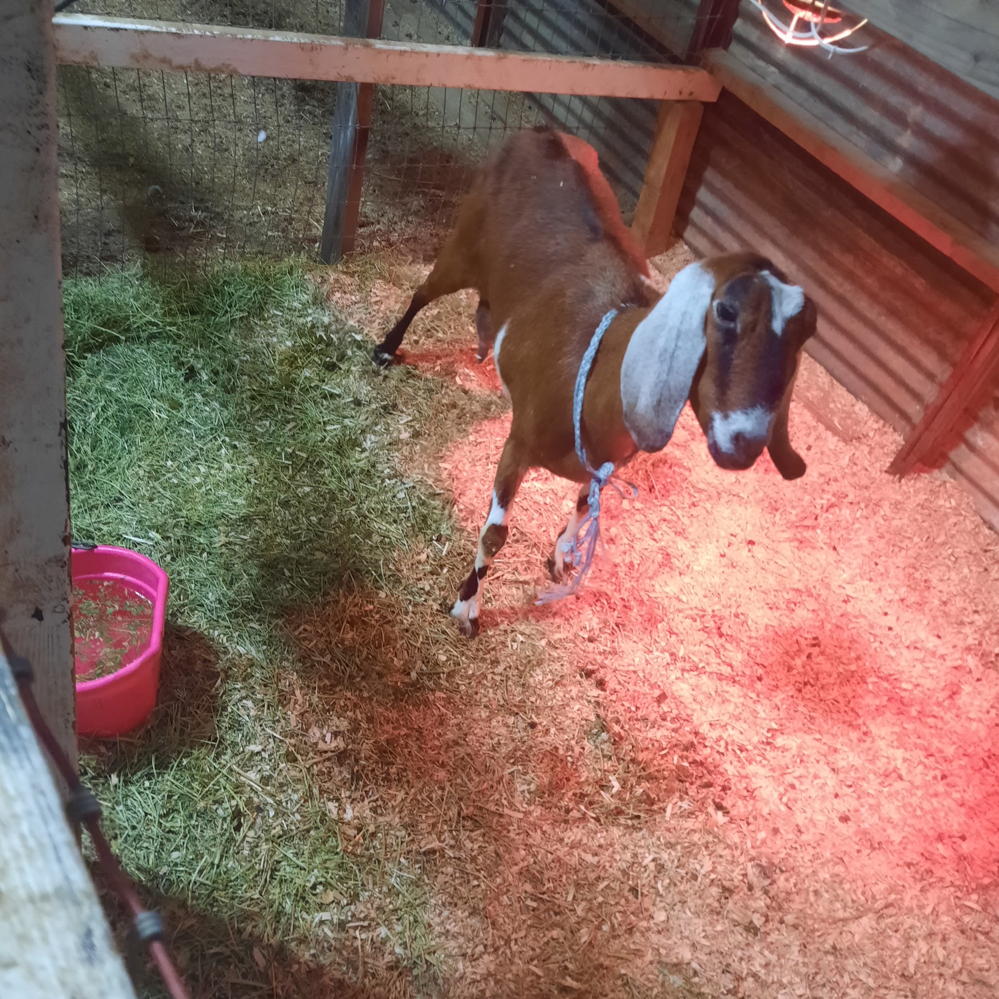 Billingsley Beverly J Tehachapi