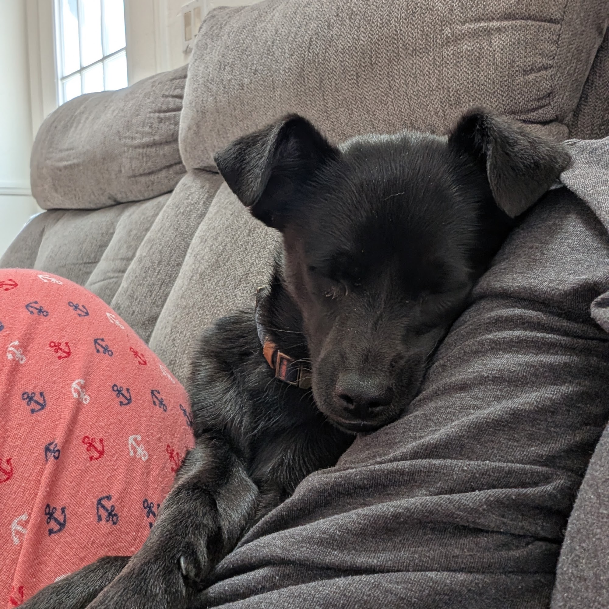 Have-a-Heart Humane Society Tehachapi