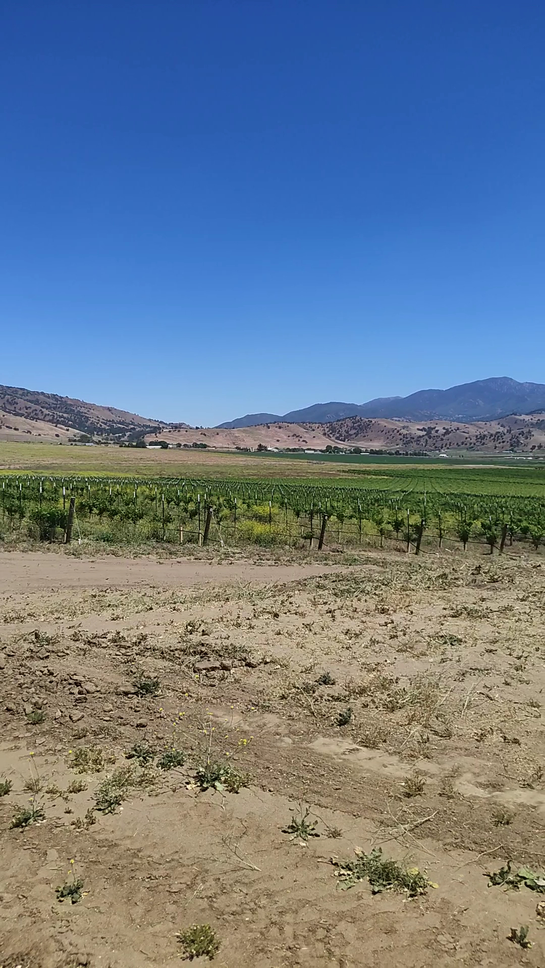 Tehachapi Winery Menu