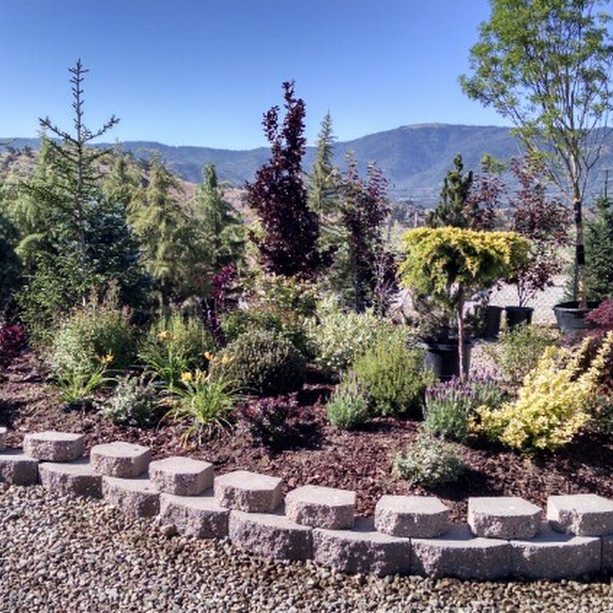 JDB Sales, Inc. Tehachapi