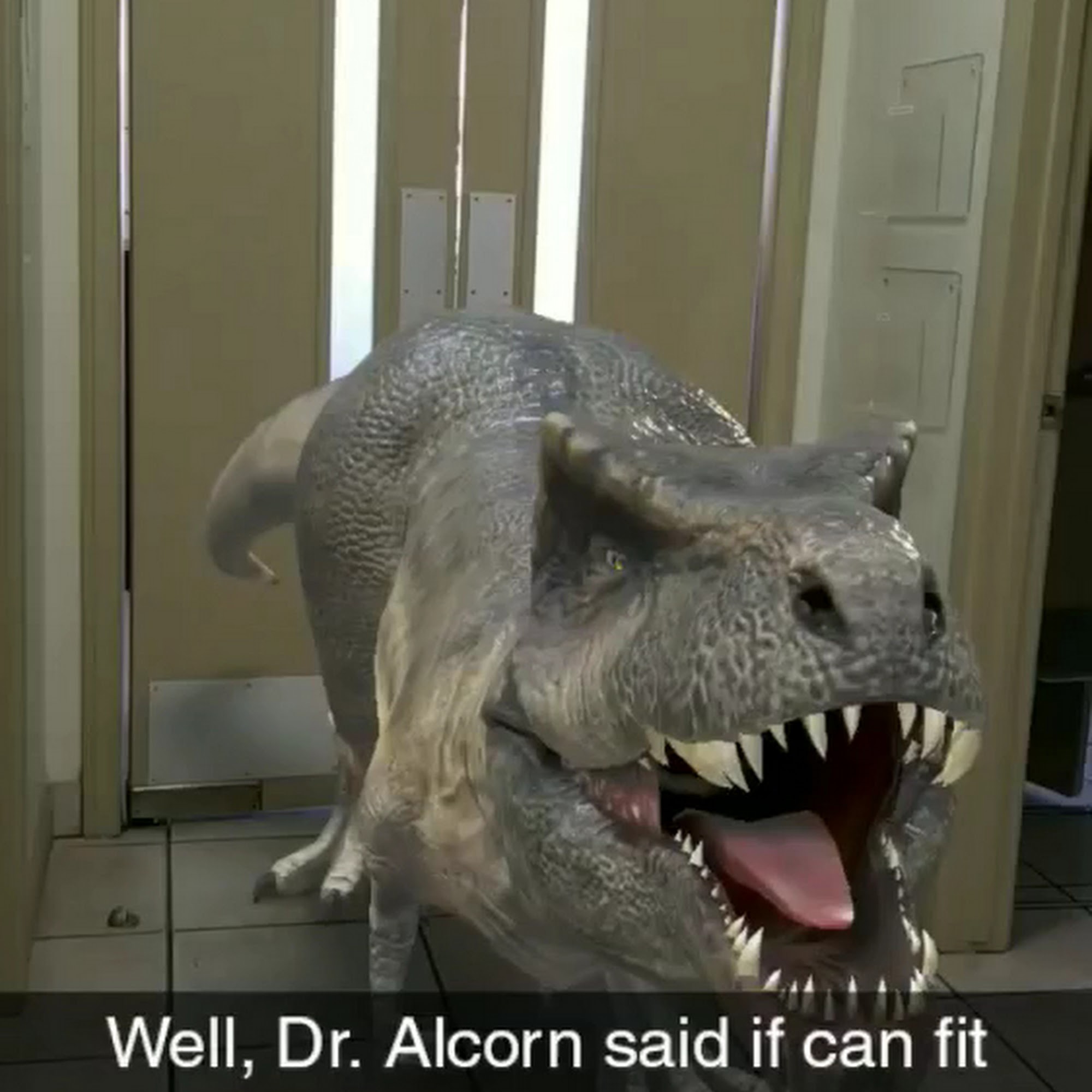 Care Animal Hospital Temecula