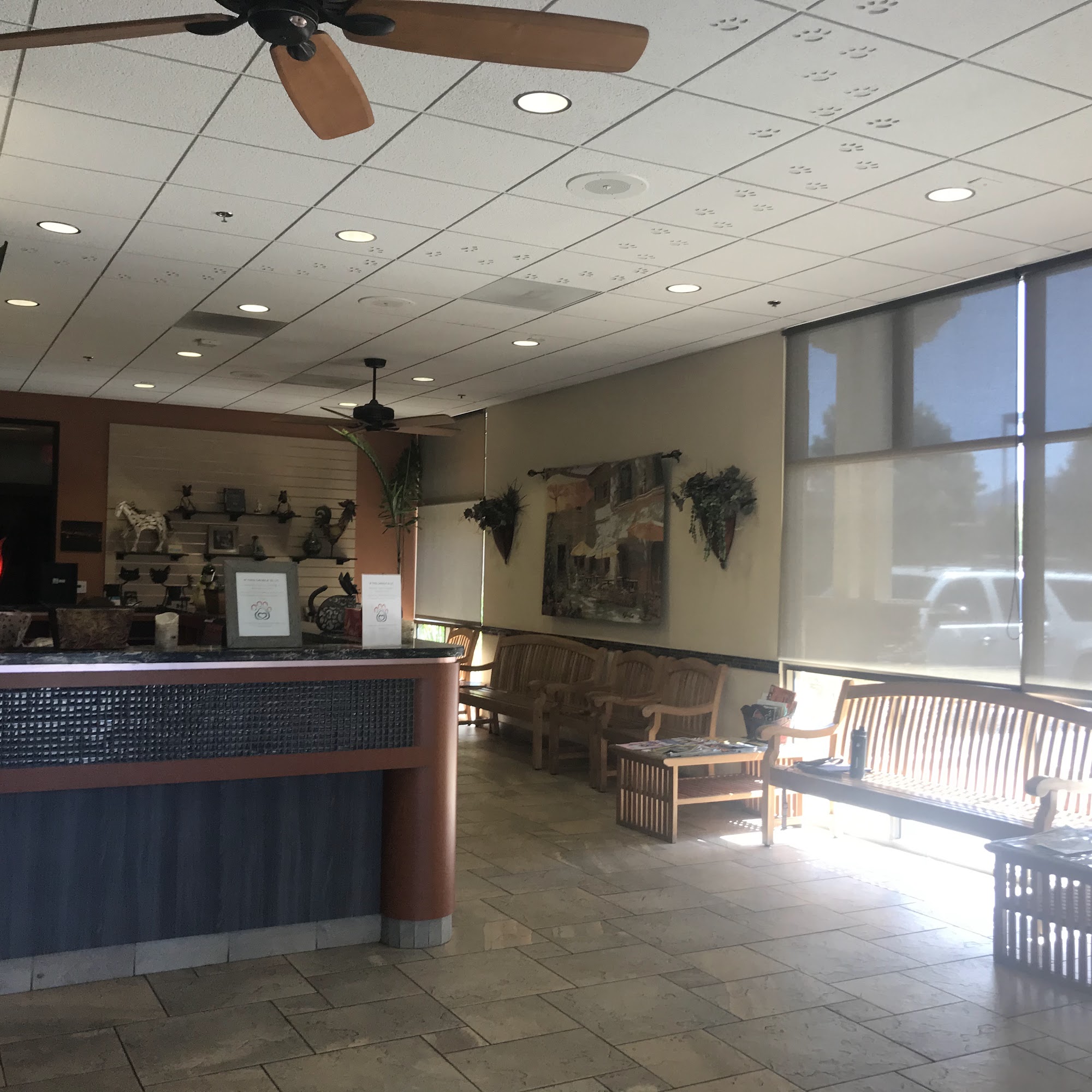 Butterfield Animal Hospital Temecula