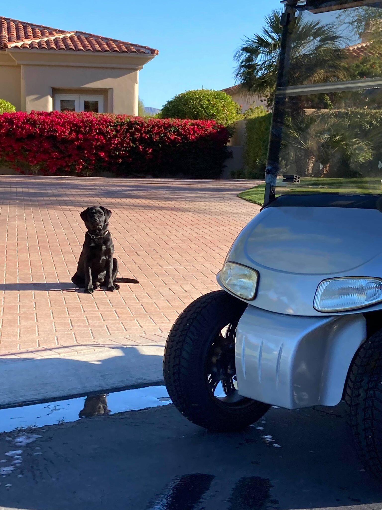 Invisible Fence of Southern California Temecula