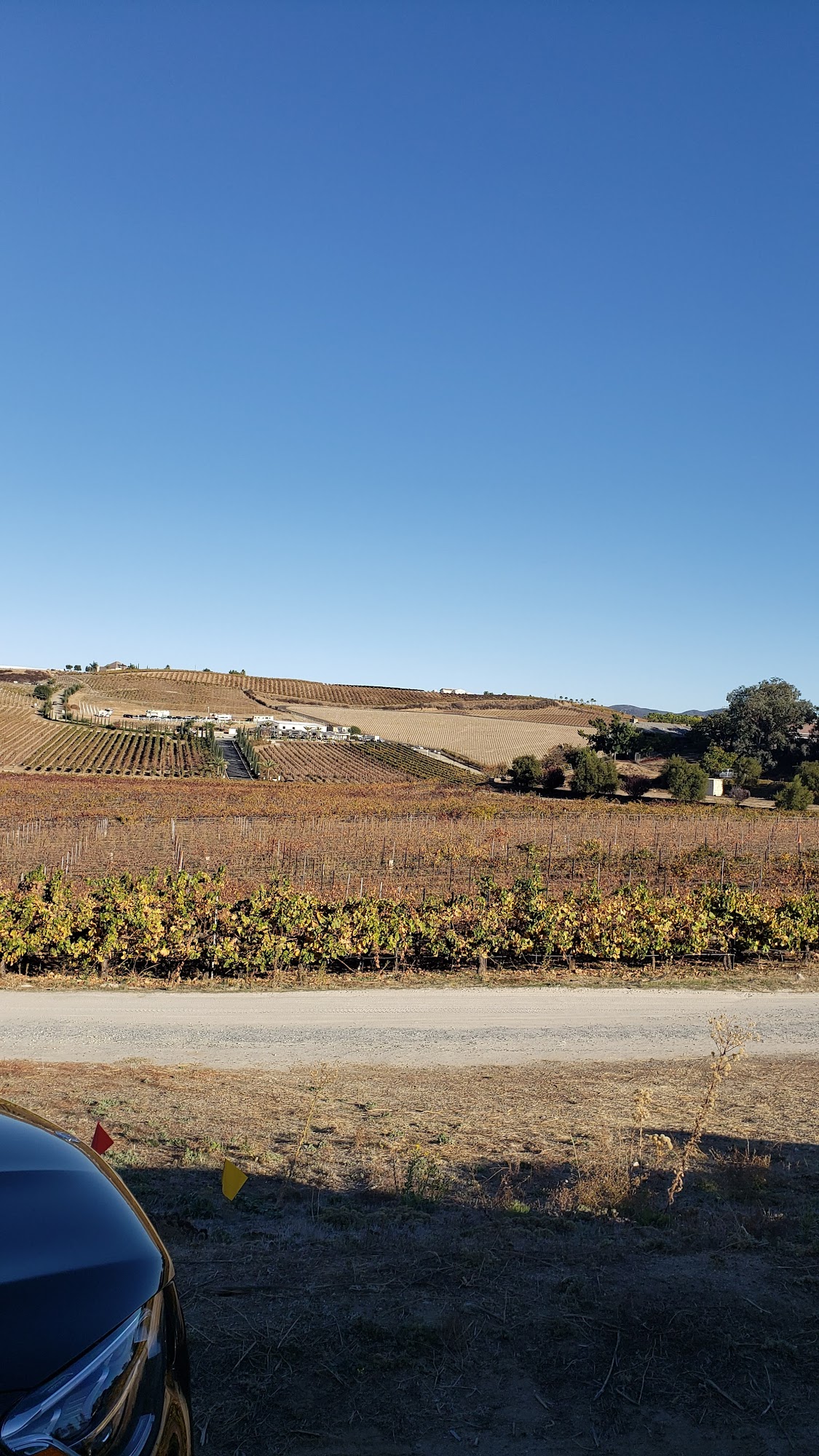 Vindemia Vineyard & Winery Menu