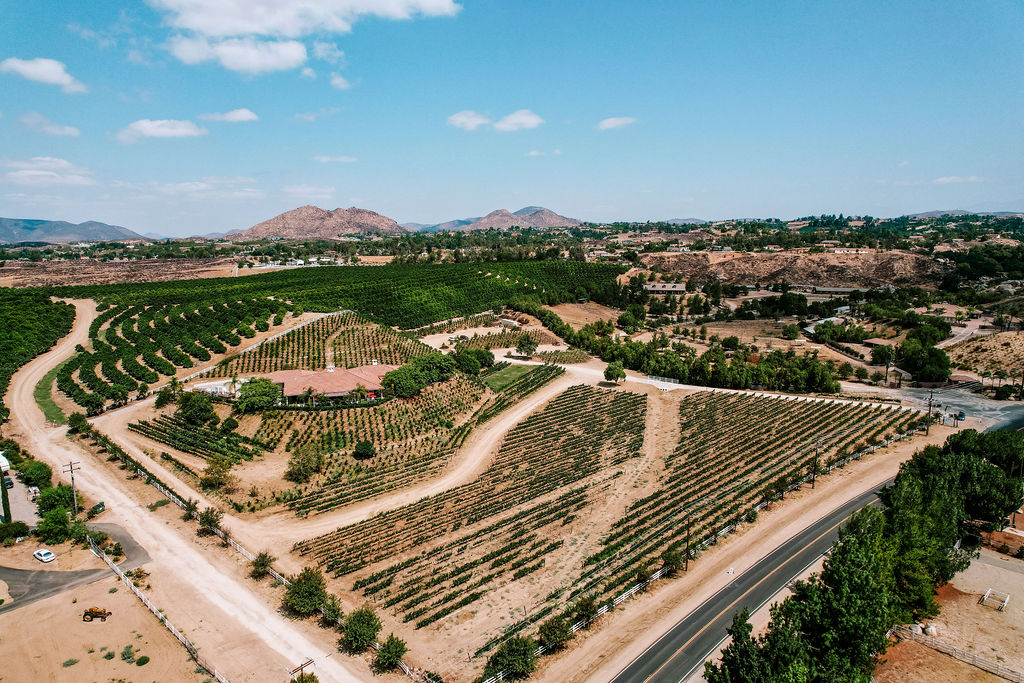Masia de la Vinya Winery Menu