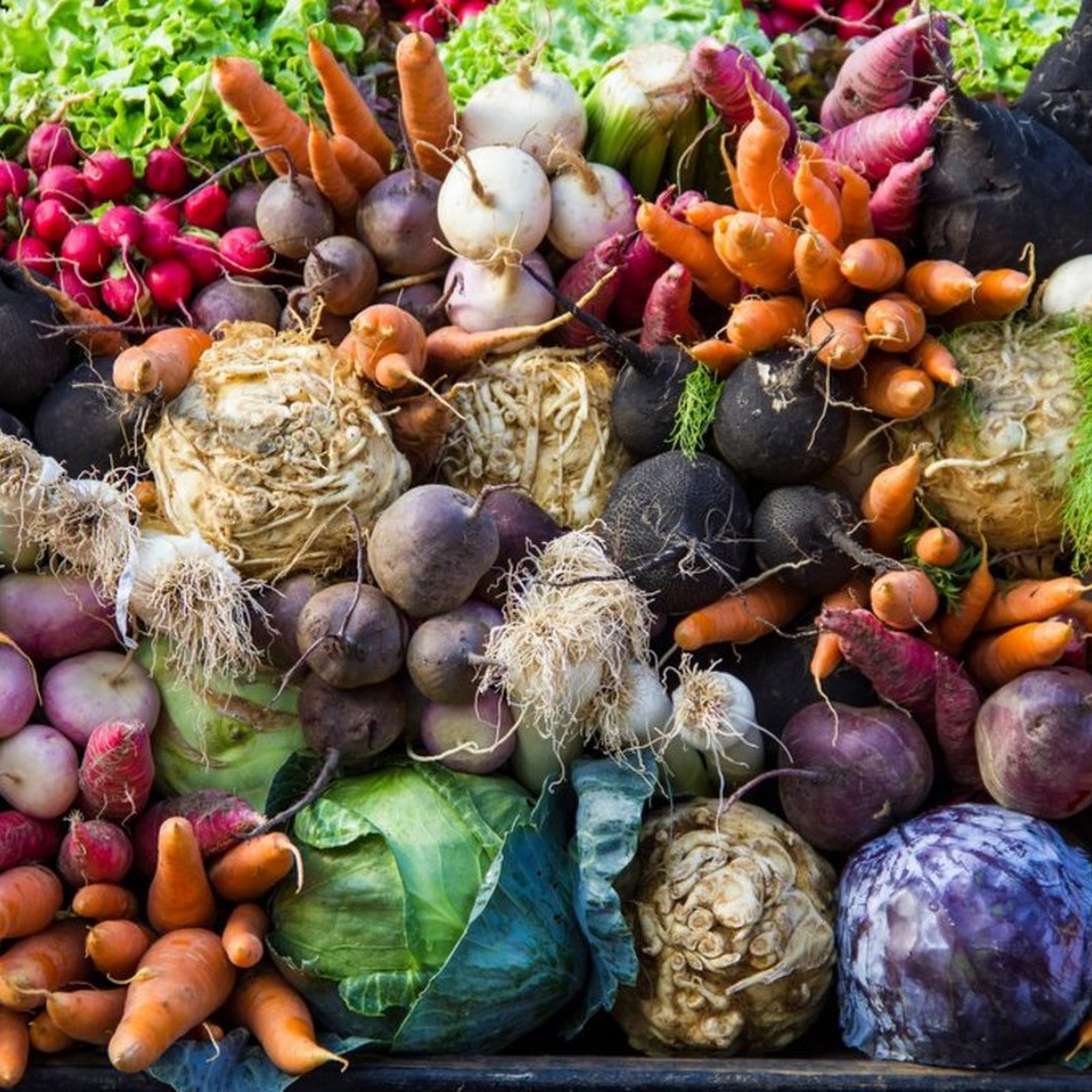 Western Eagle Foundation Temecula