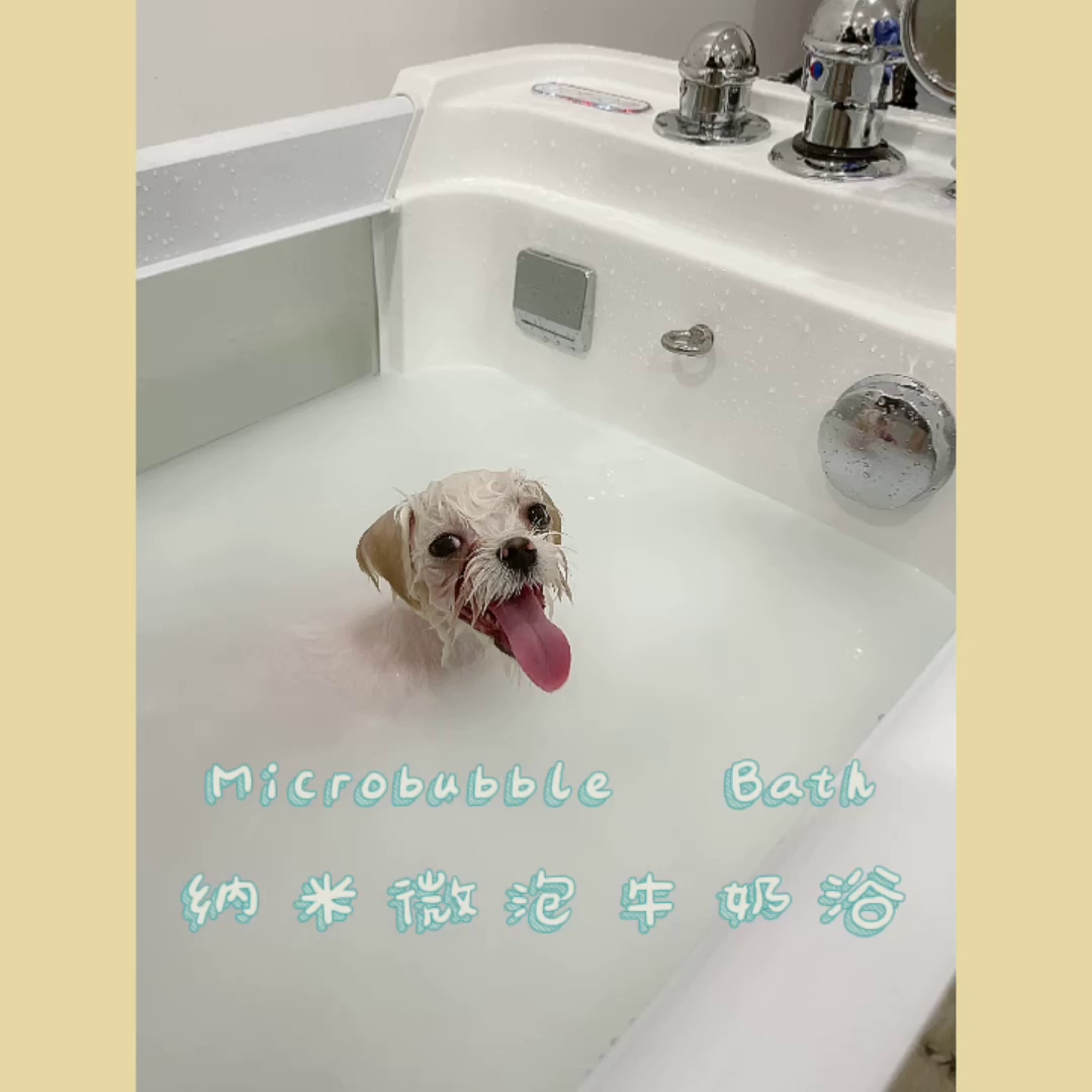 Unipaw Pet Grooming Temple City