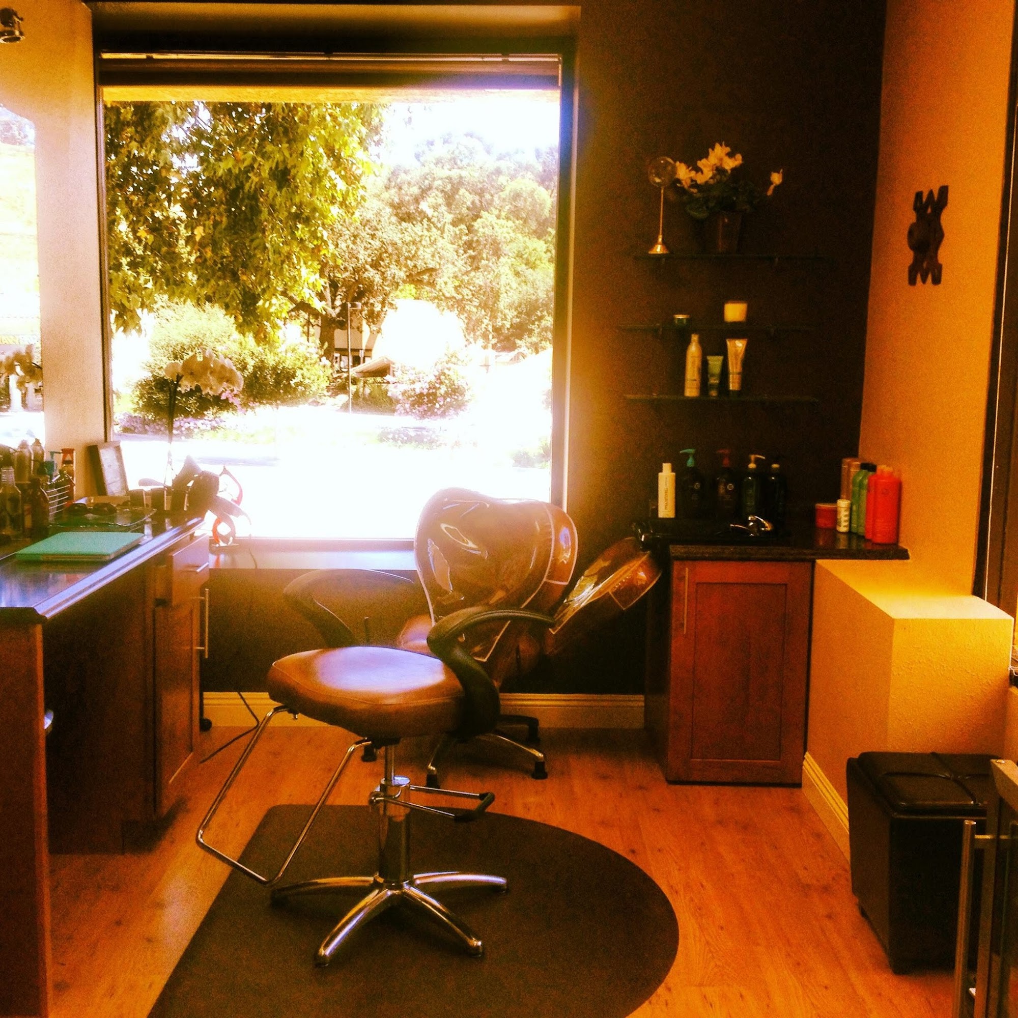 Martin at Salon Suites