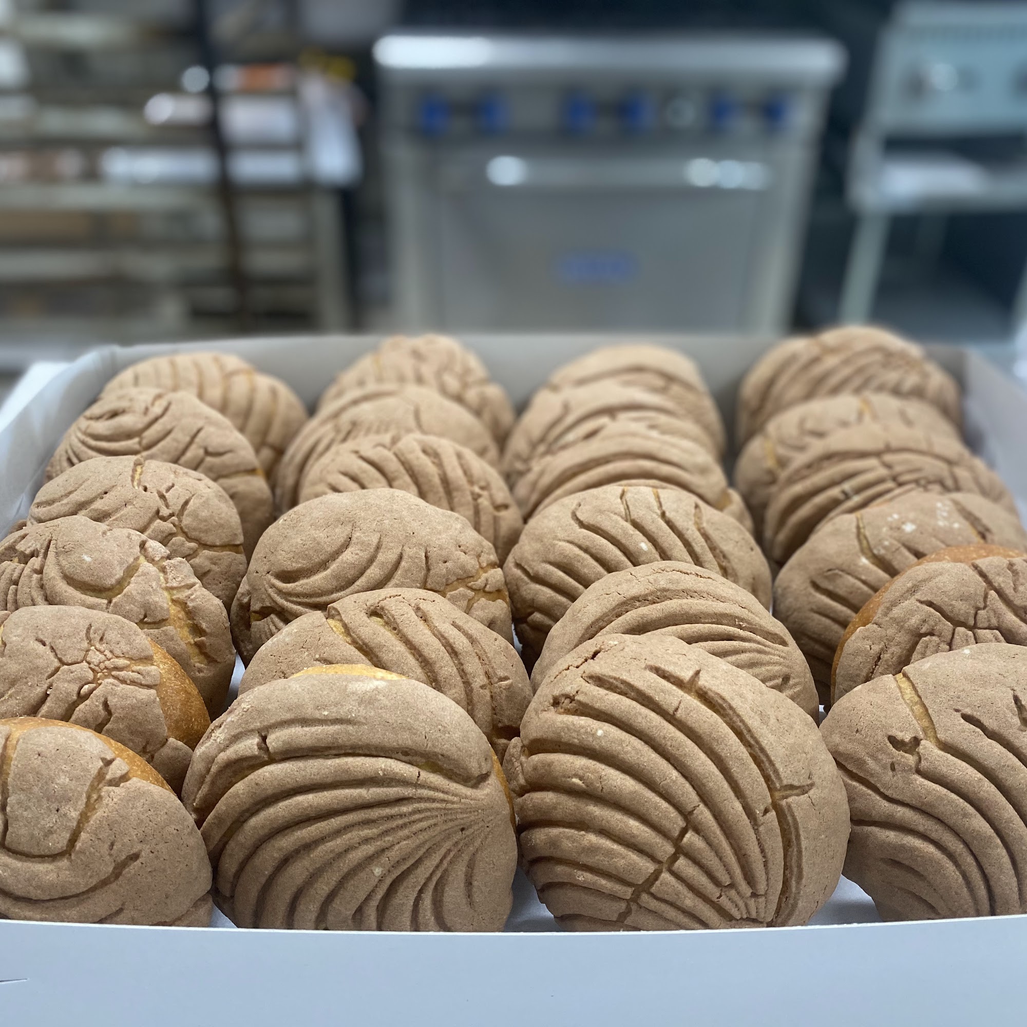 Toluca Bakery Toluca Lake