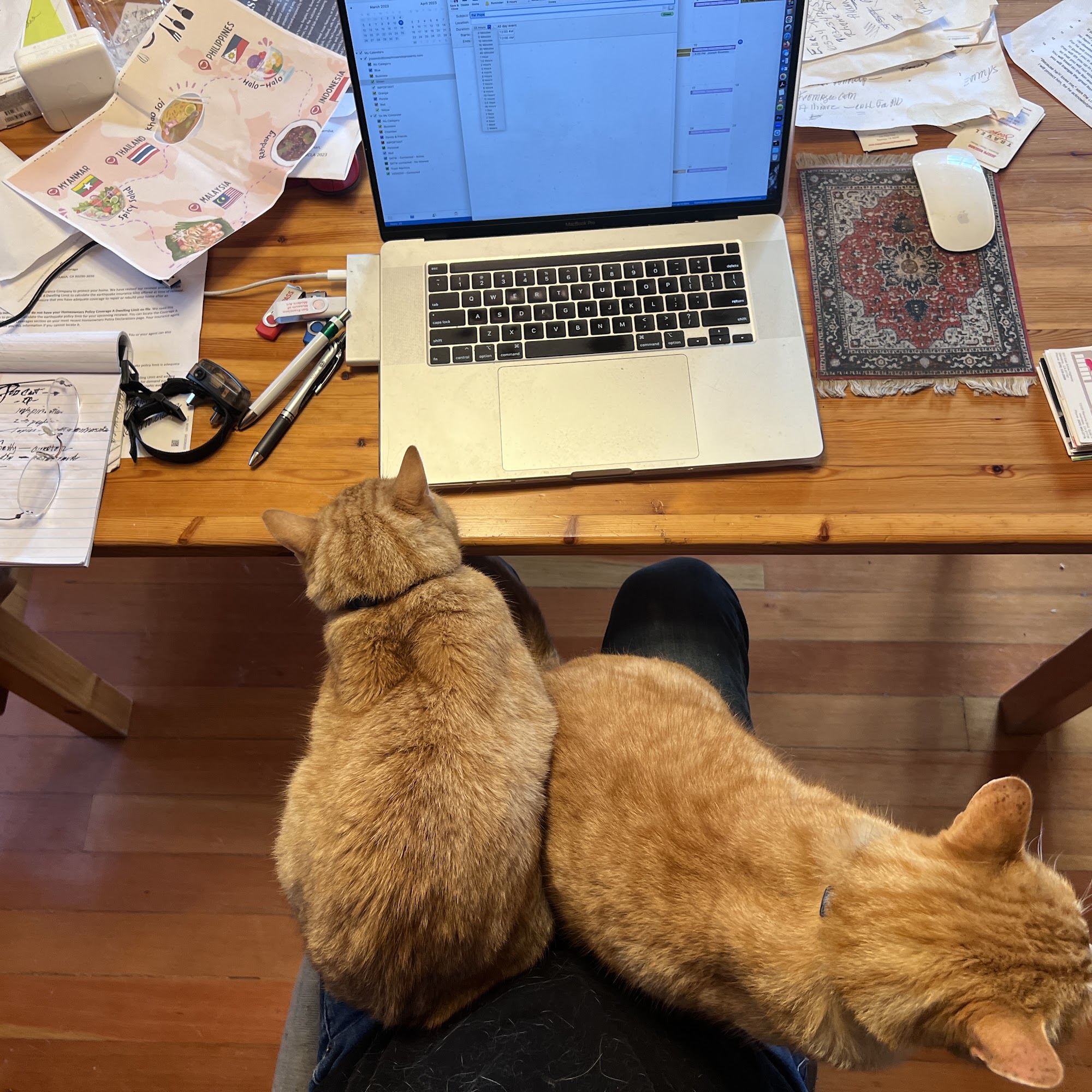 Animal Clinic of Topanga Topanga