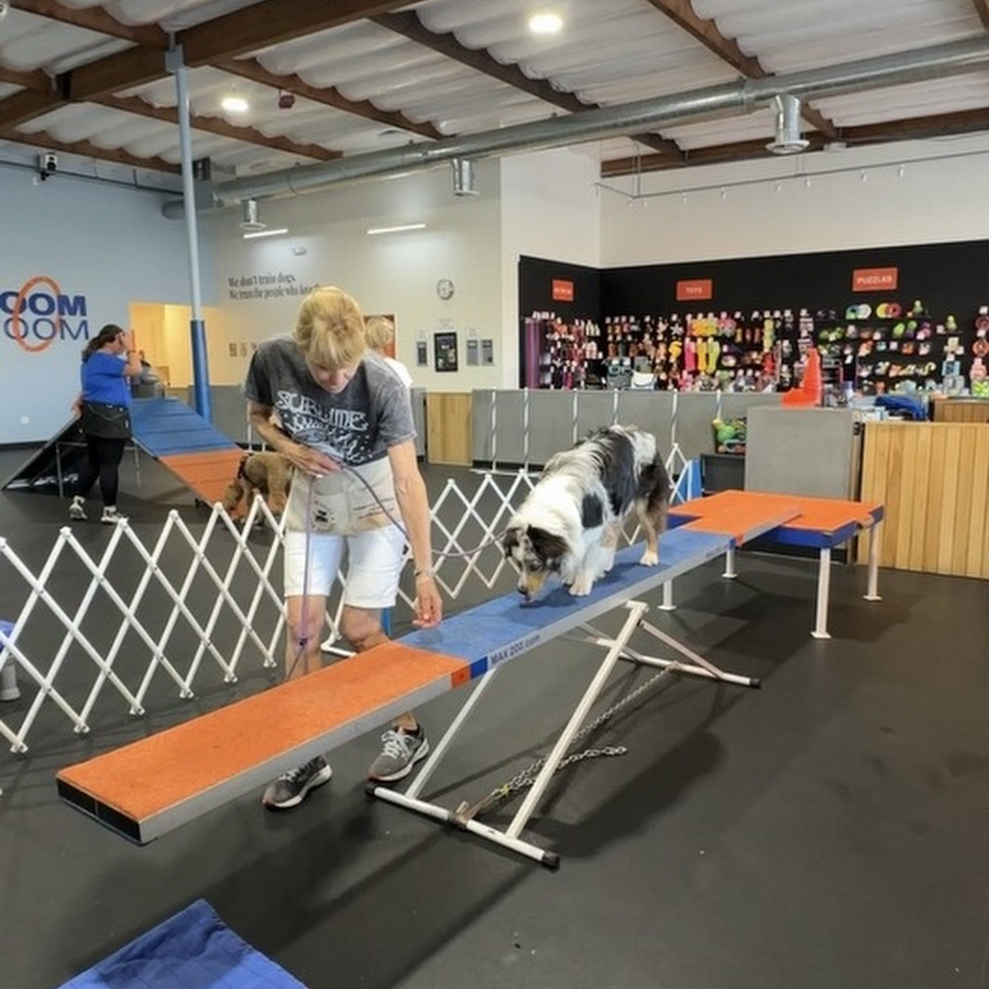 Zoom Room Dog Training Torrance