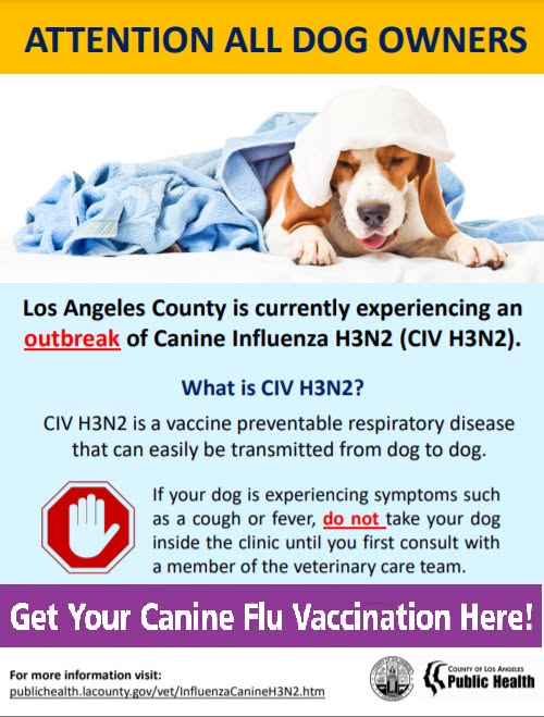 Torrance Animal Clinic