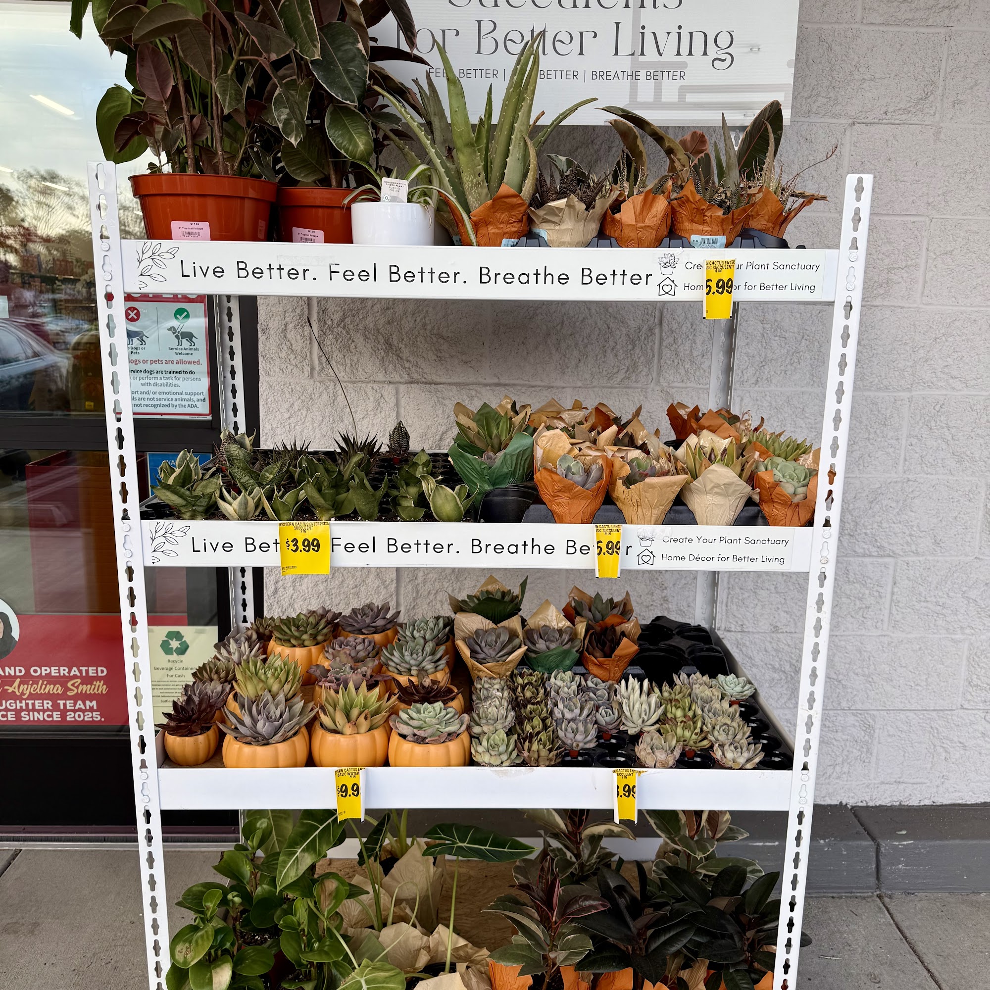 Grocery Outlet Torrance