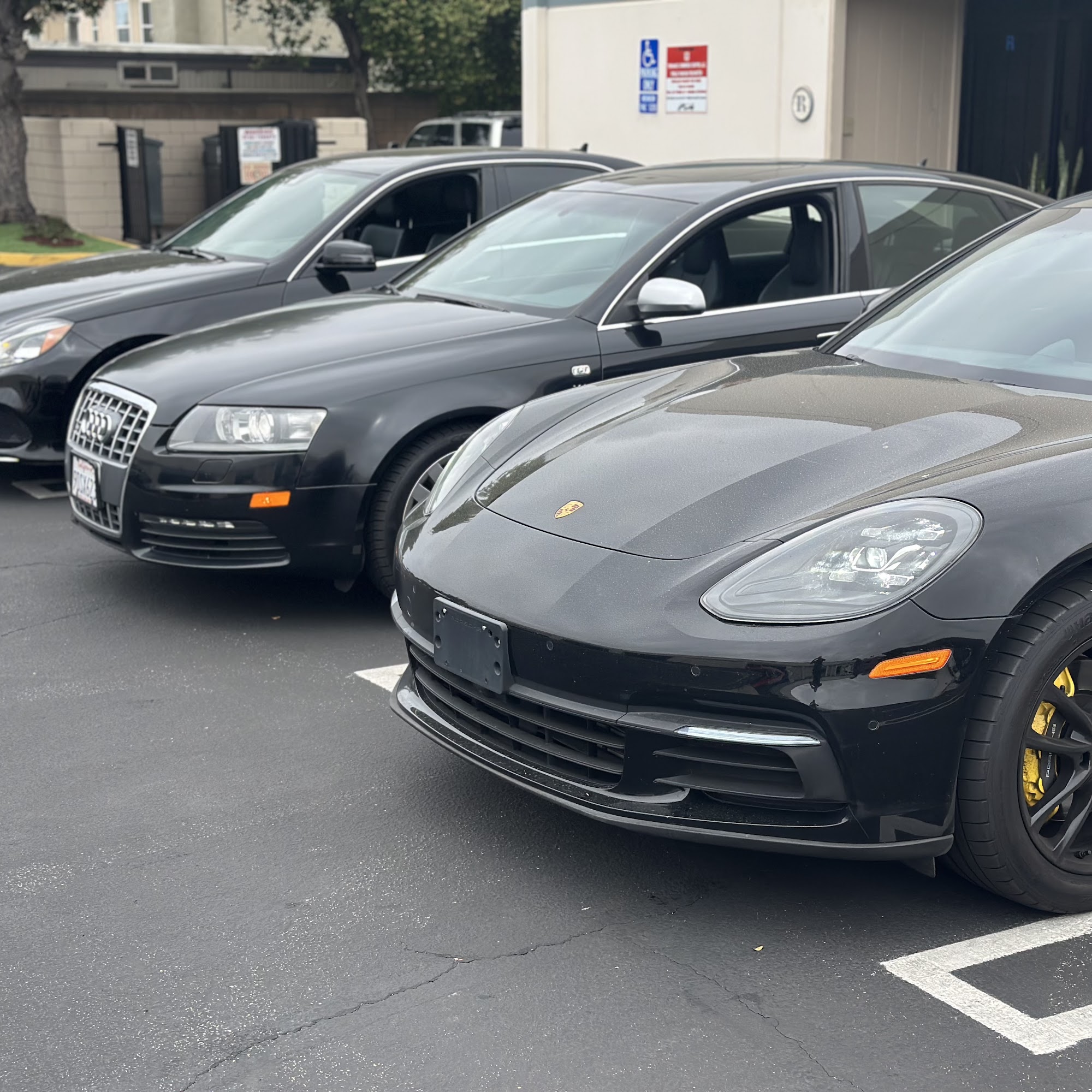South Bay Luxury Motors