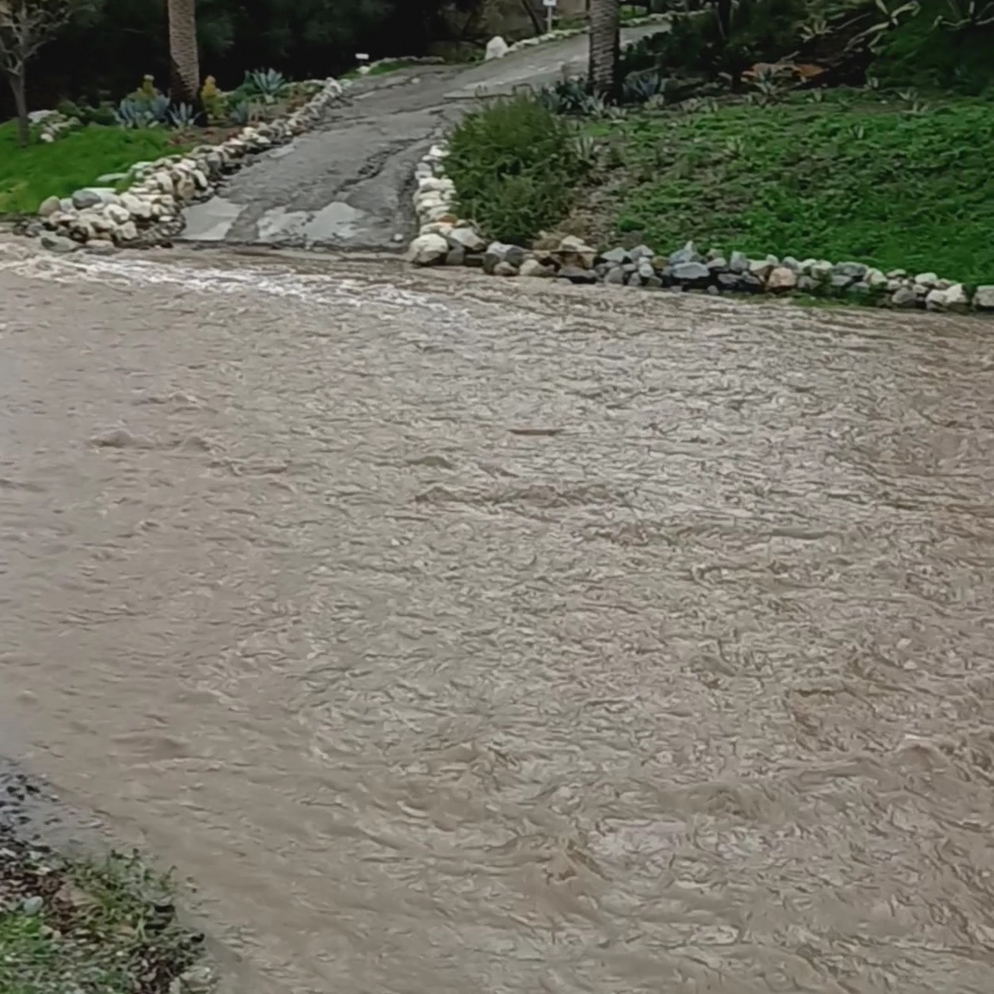 Canyon feed & Tack Trabuco Canyon