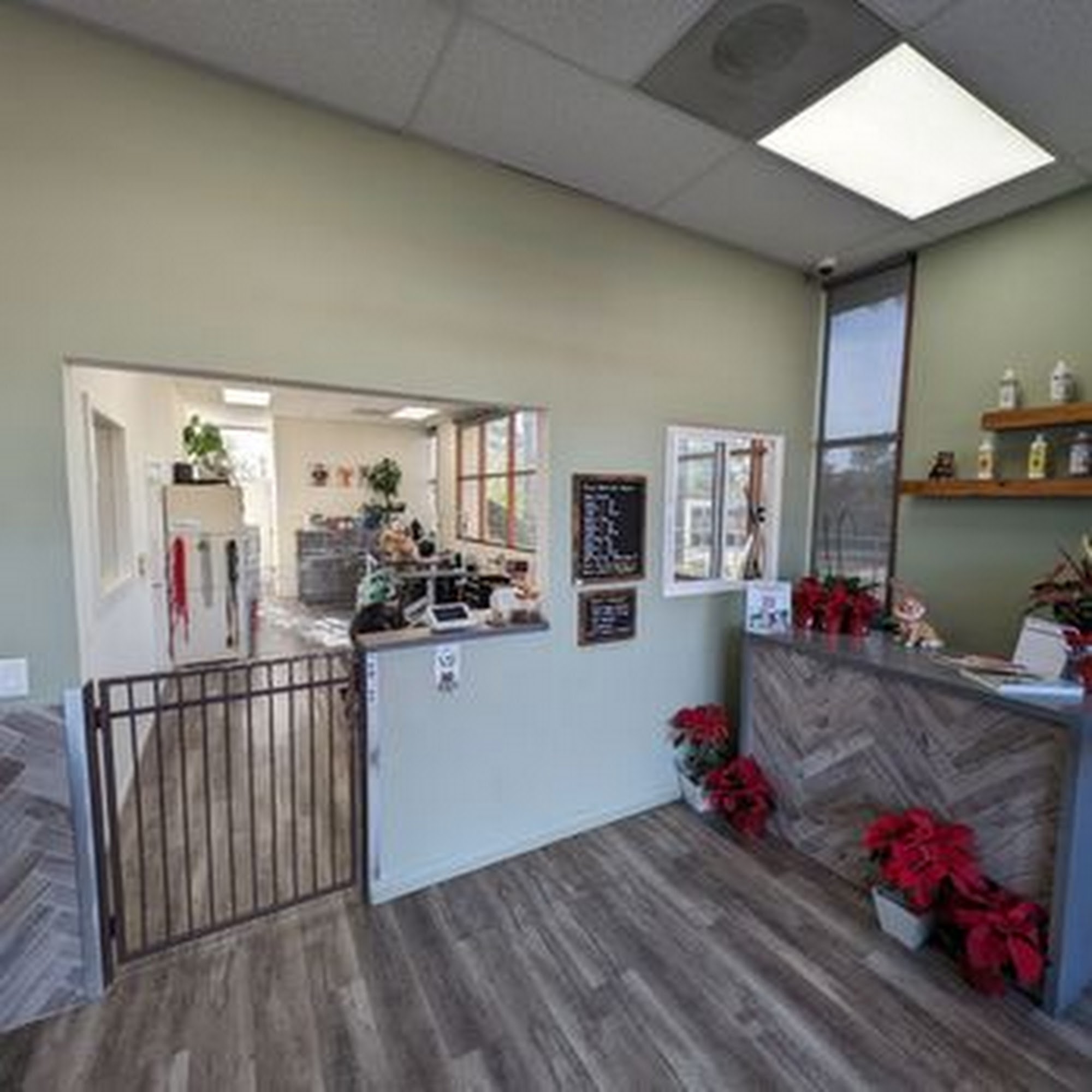 Bornagain Pet Salon Trabuco Canyon