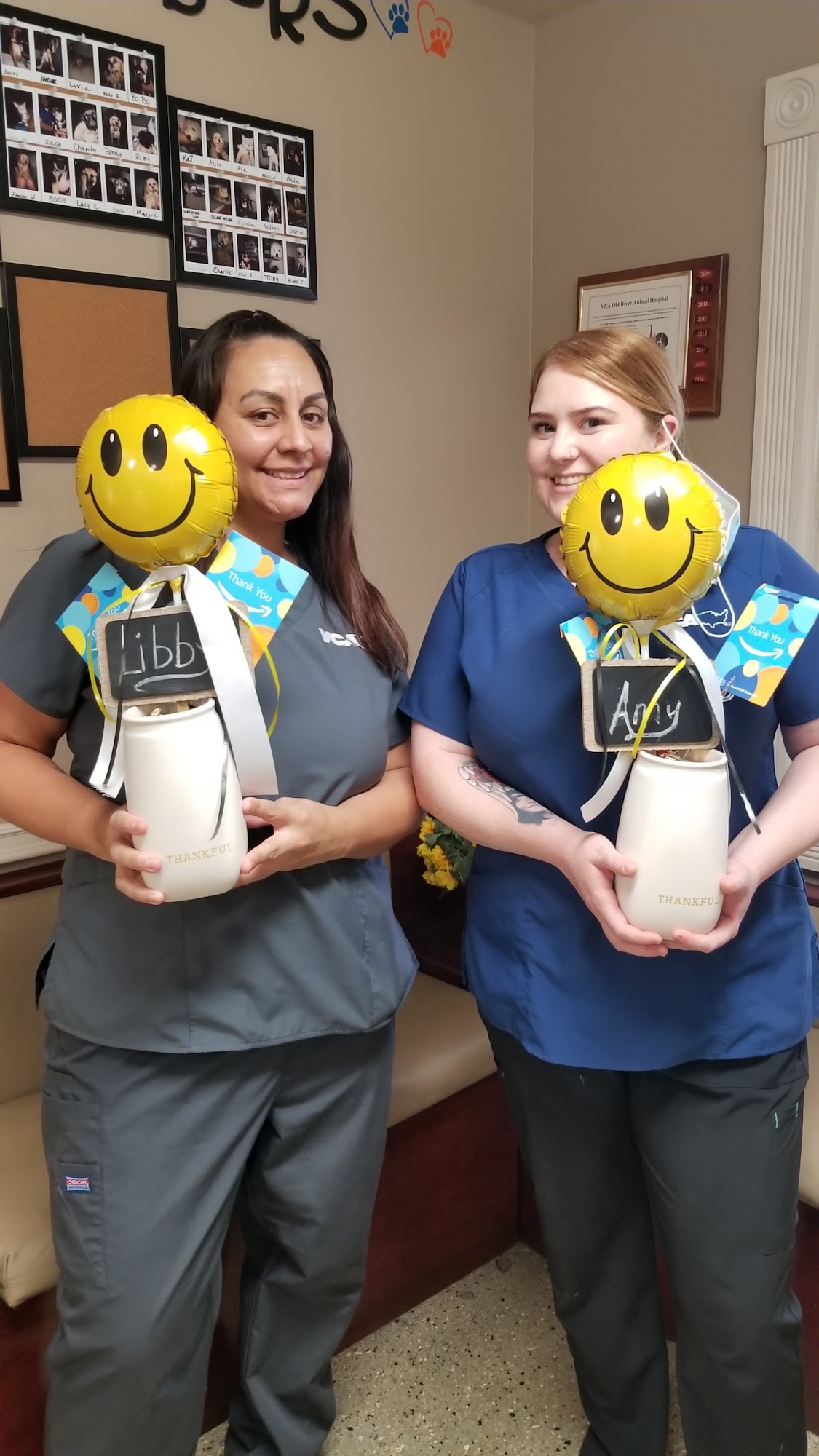 VCA Old River Animal Hospital Tracy