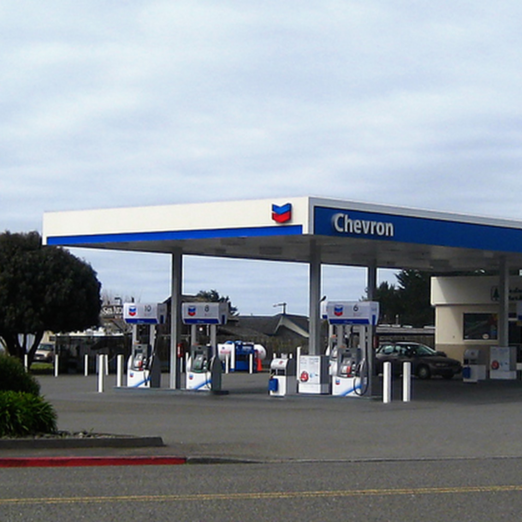 Redwood Market Trinidad