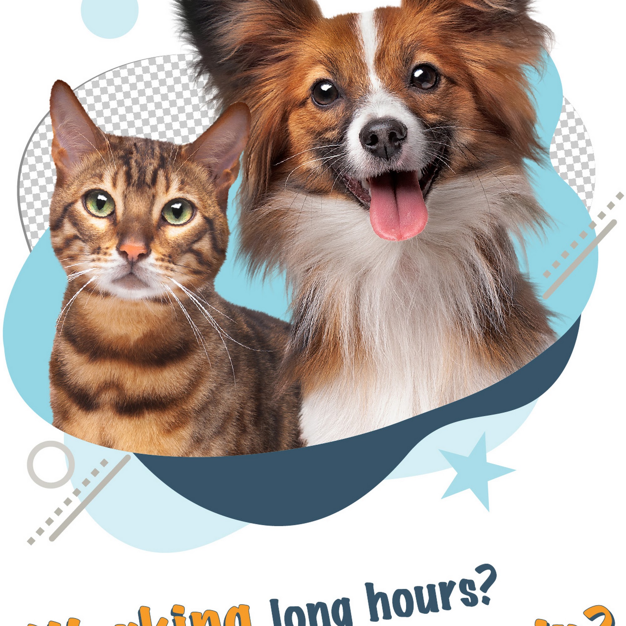 Foothill Pet Care