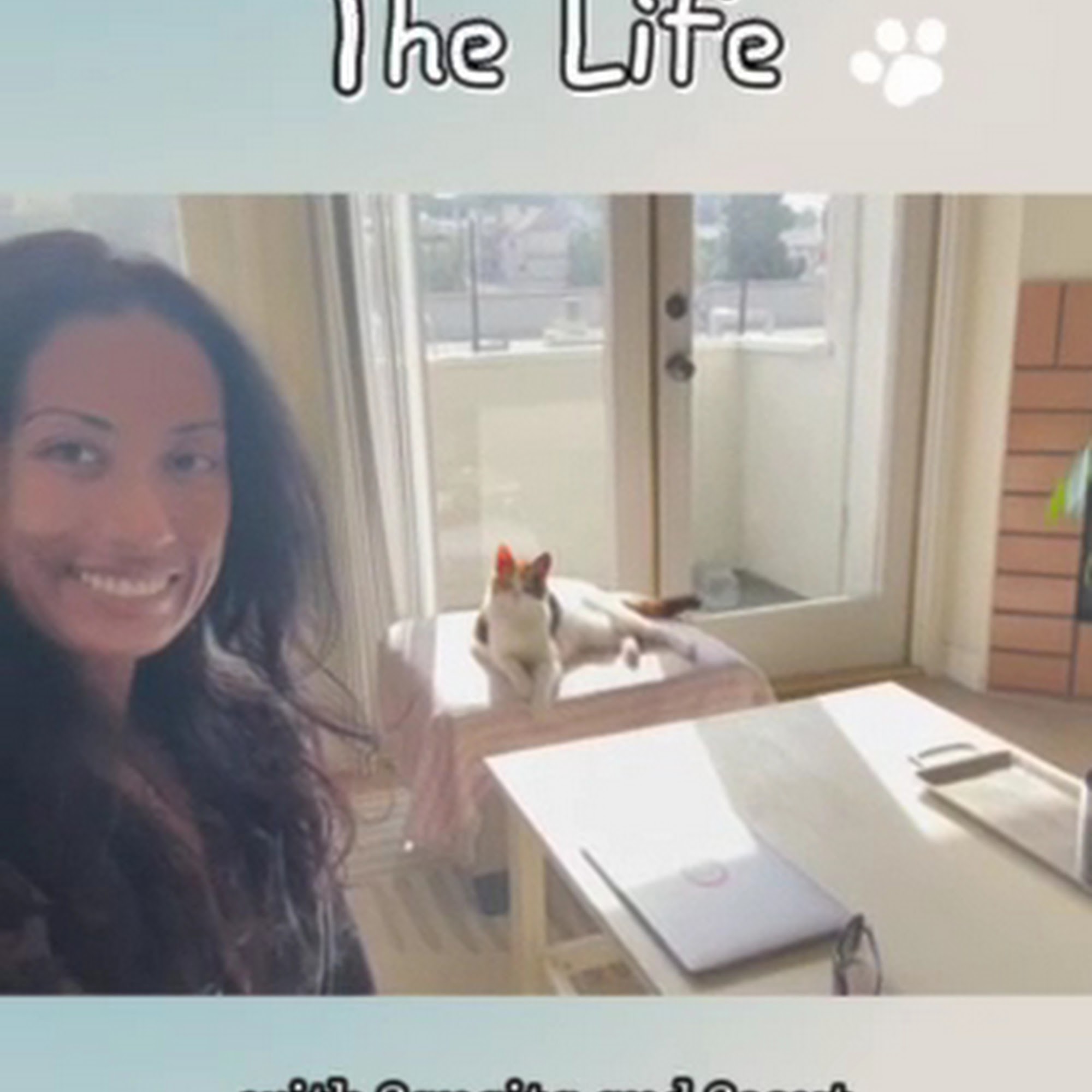 Foothill Pet Care