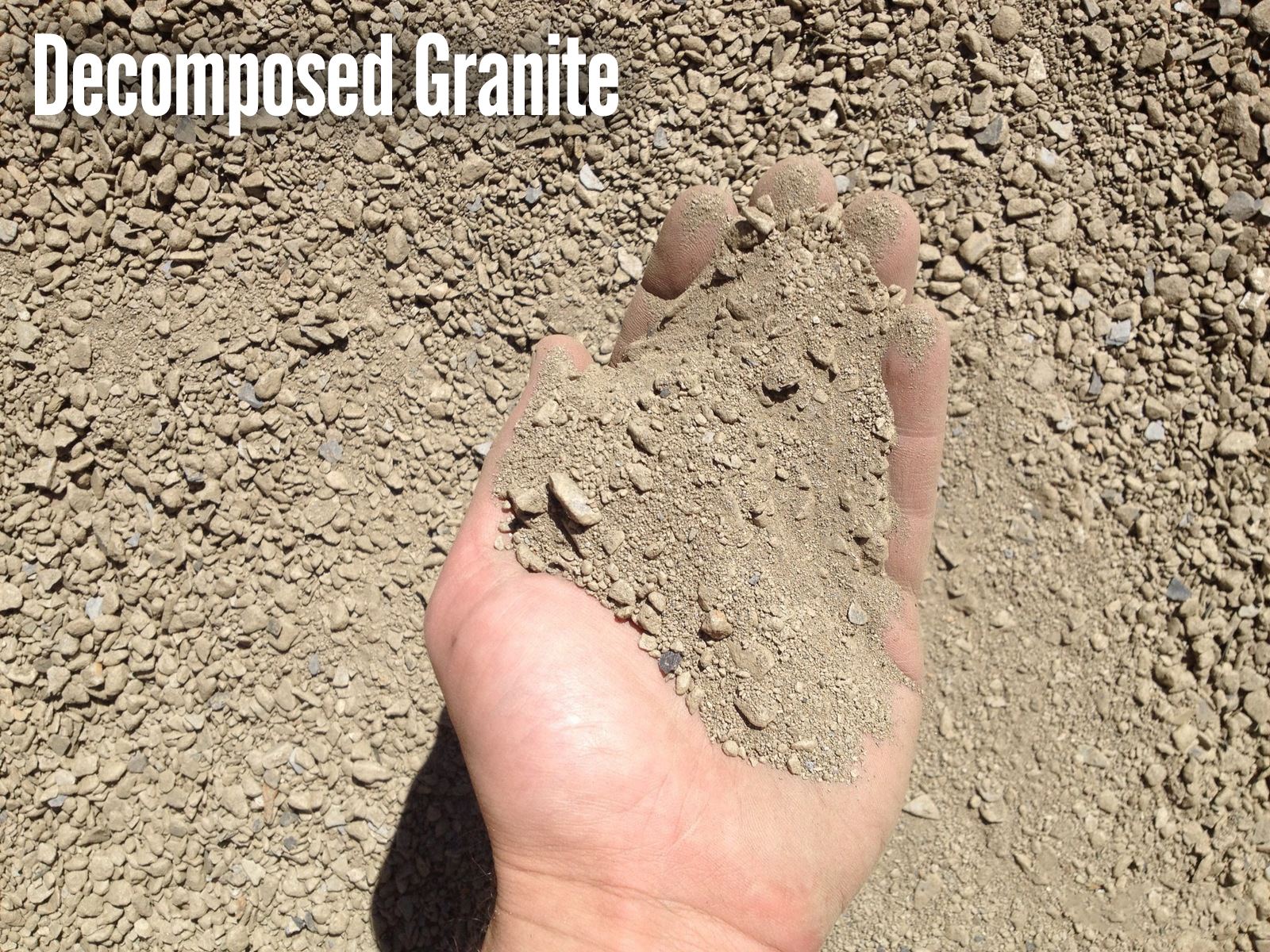 K9s on the Move Pet Resort Turlock