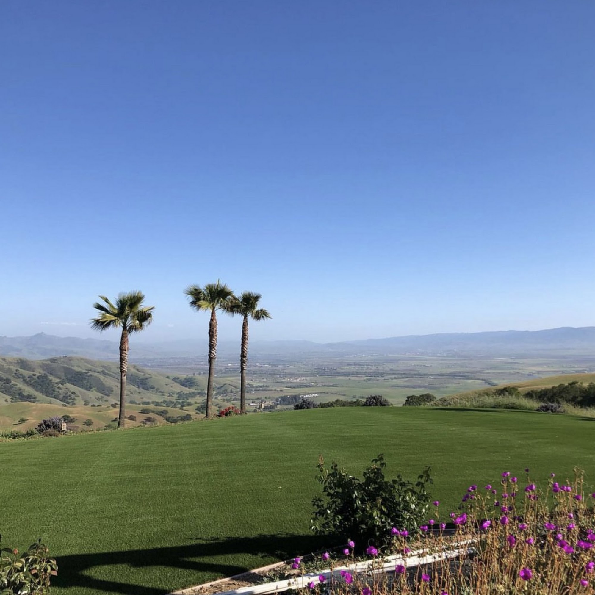 Capote Landscape Inc.