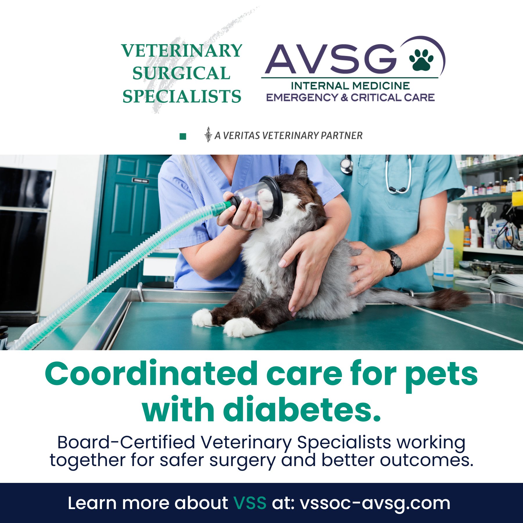 Veterinary Surgical Specialists Tustin