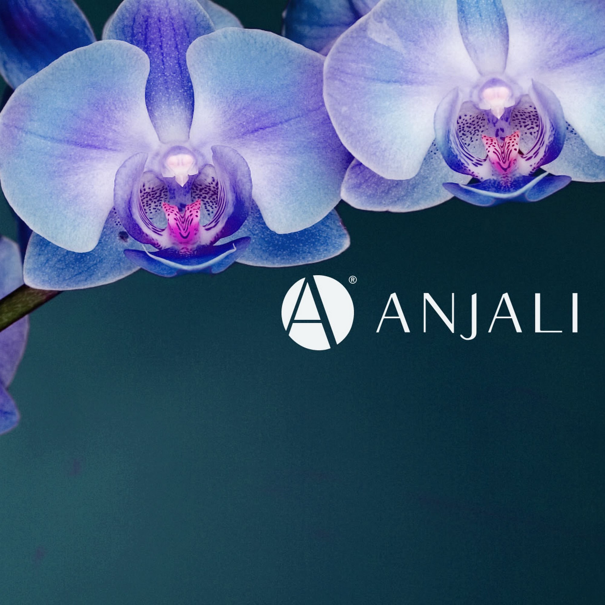 ANJALI MD Skincare Tustin