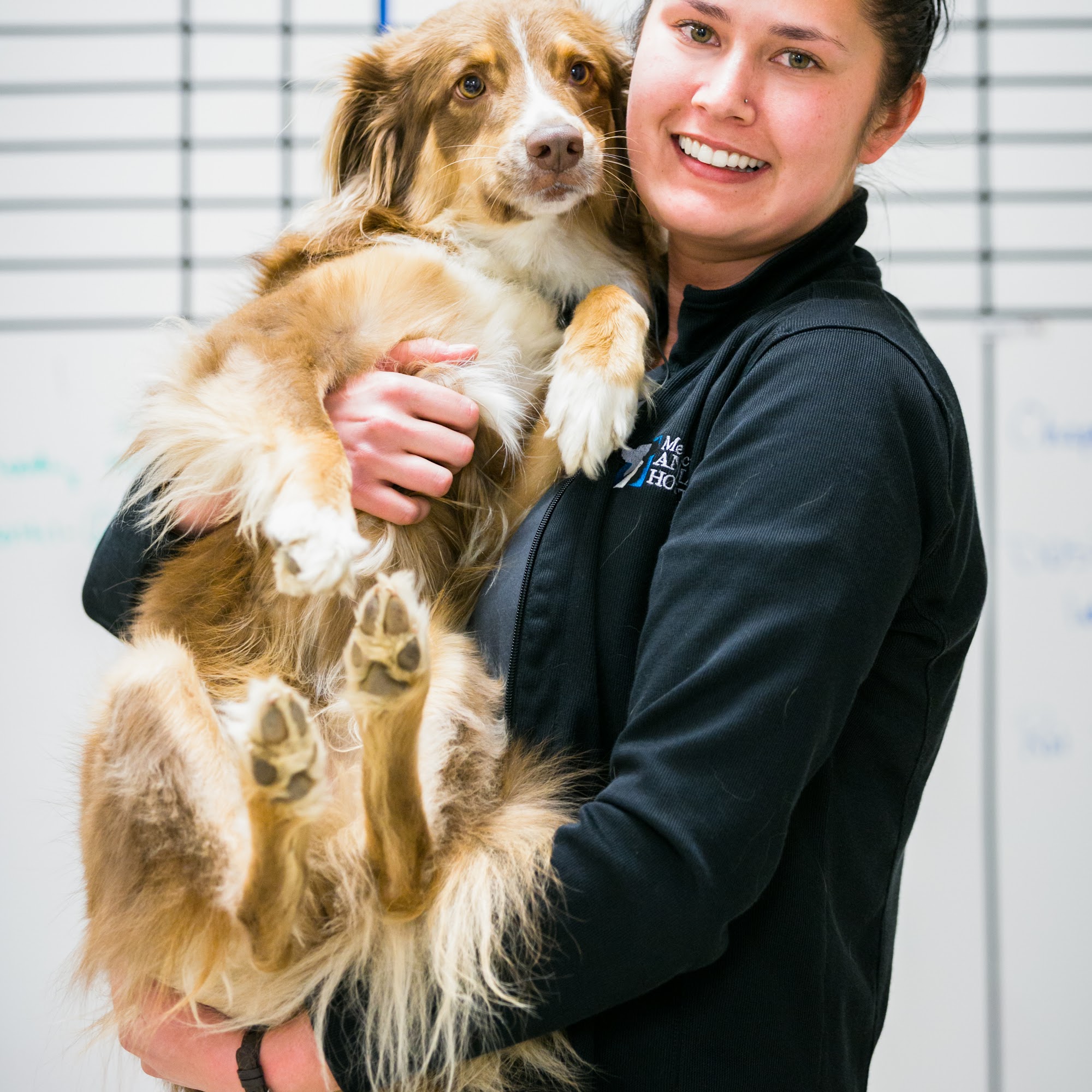 Mendocino Animal Hospital Ukiah