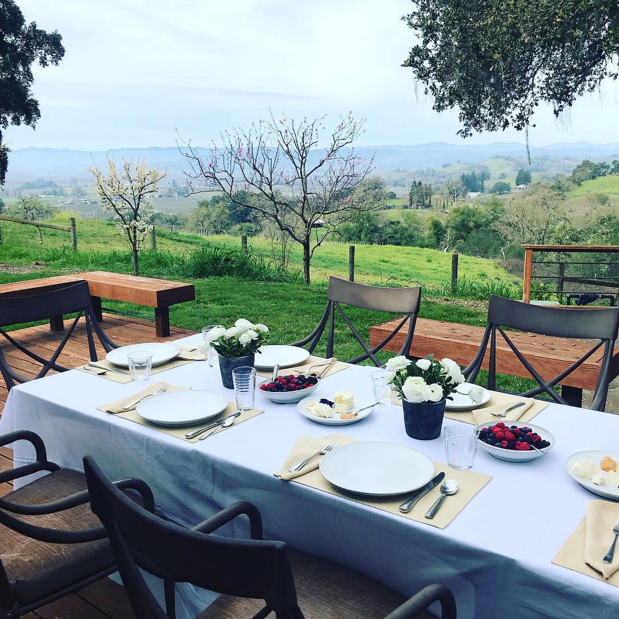 Chef's Table Catering