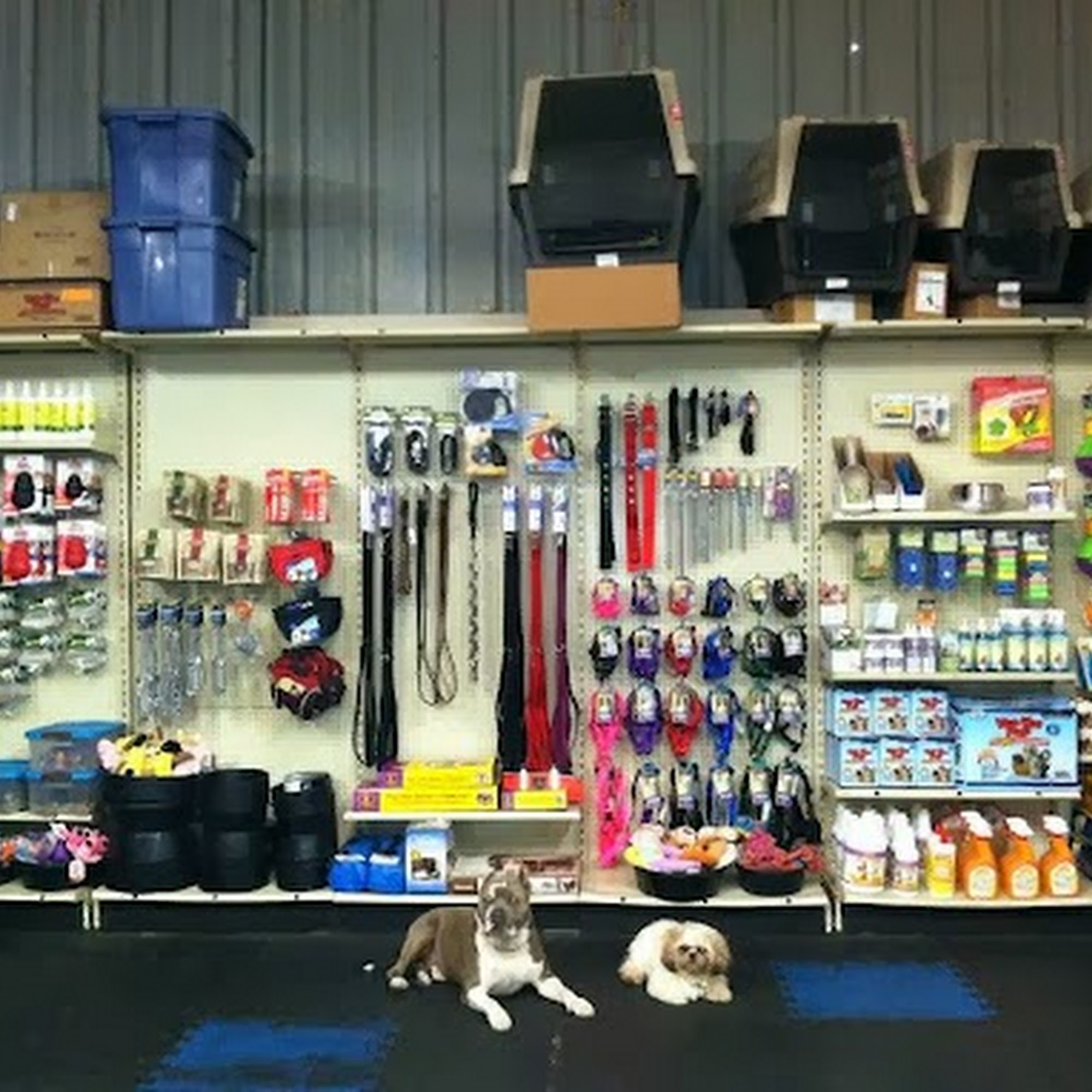 Bay Area Family K-9 Training LLC Union City