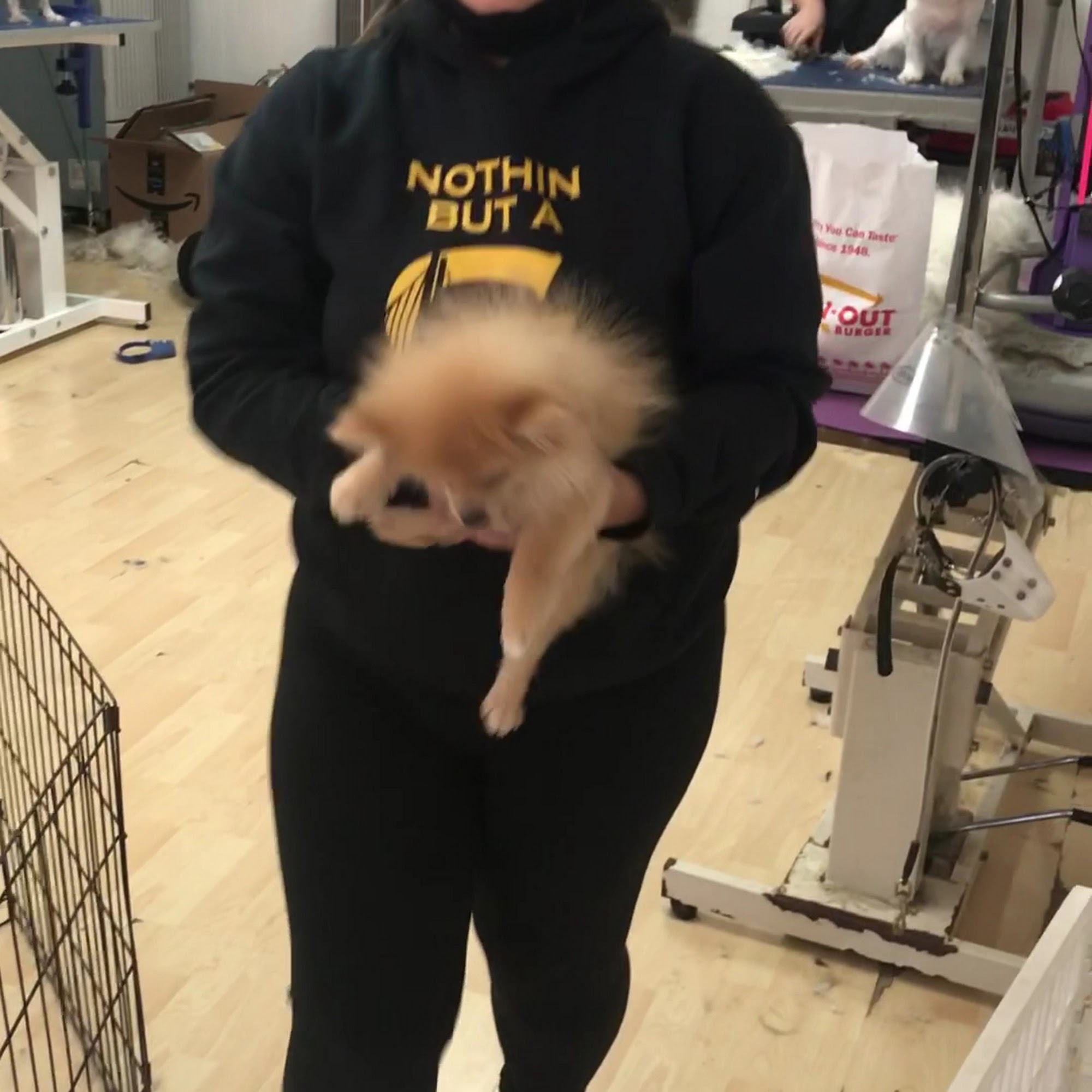 Paw Prints Salon Union City