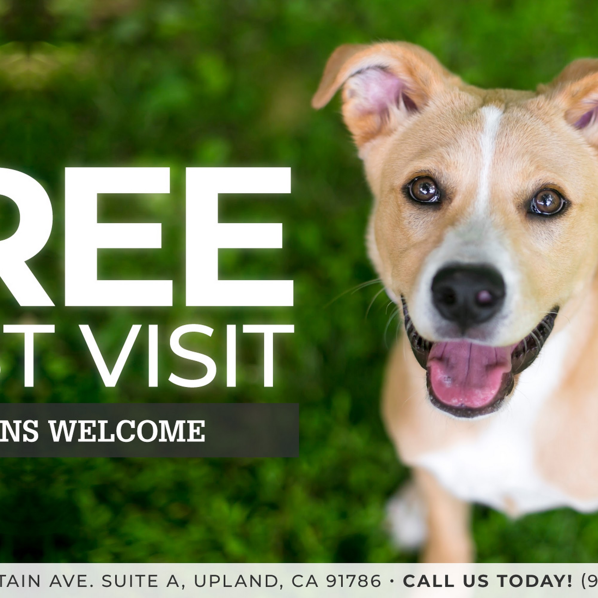 We Talk Pets! Animal Hospital Upland