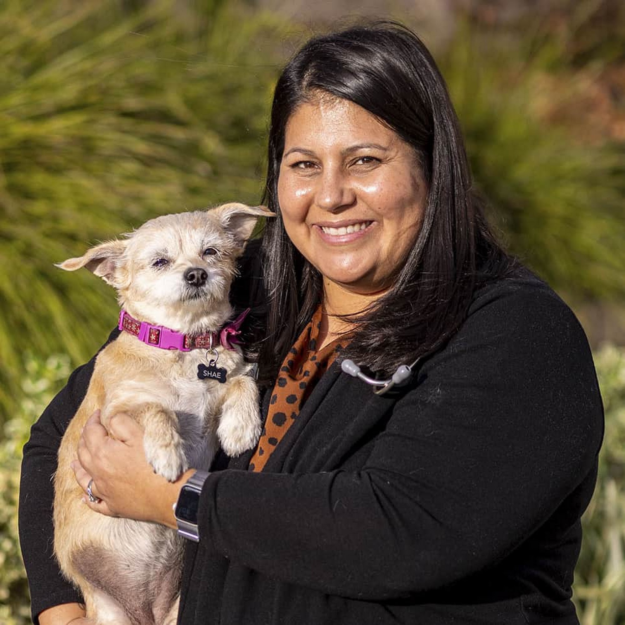 Pet Time Animal Hospital Upland