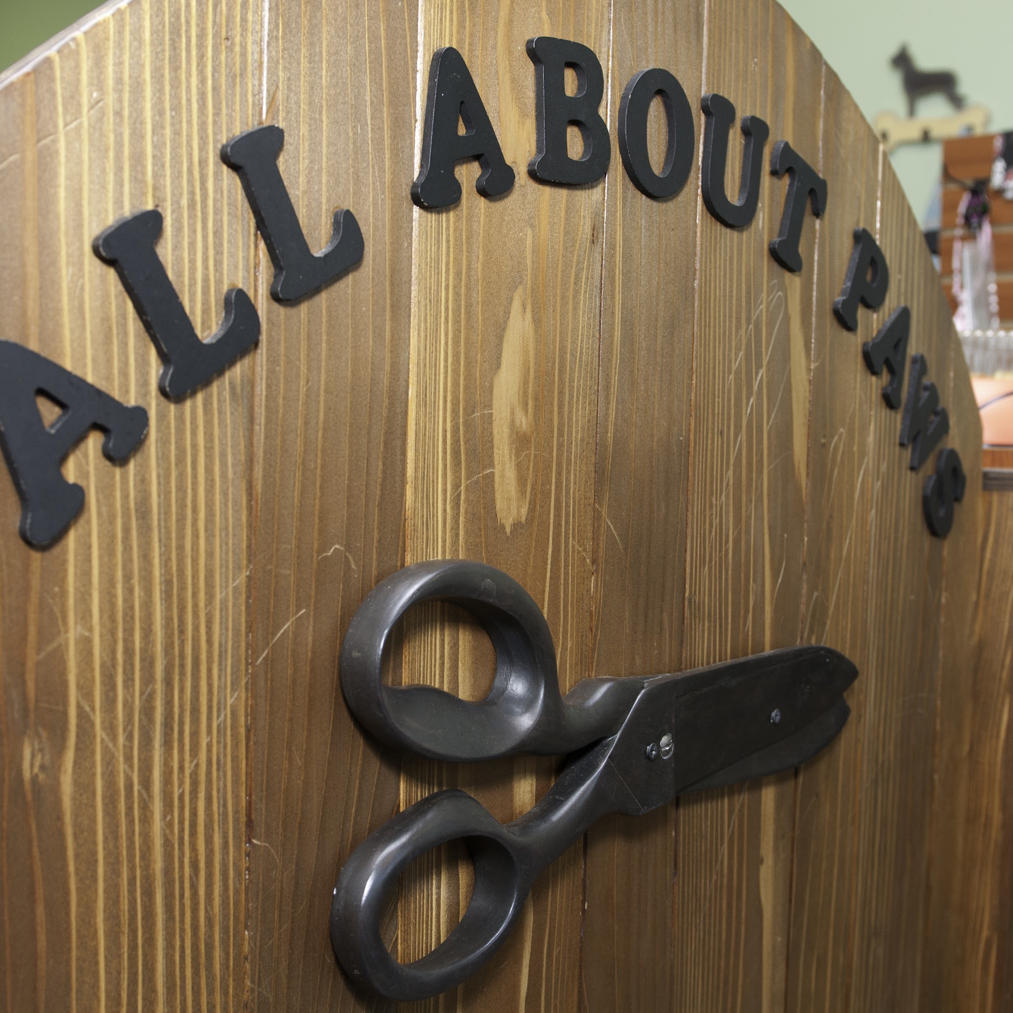 All About Paws Pet Spa Upland