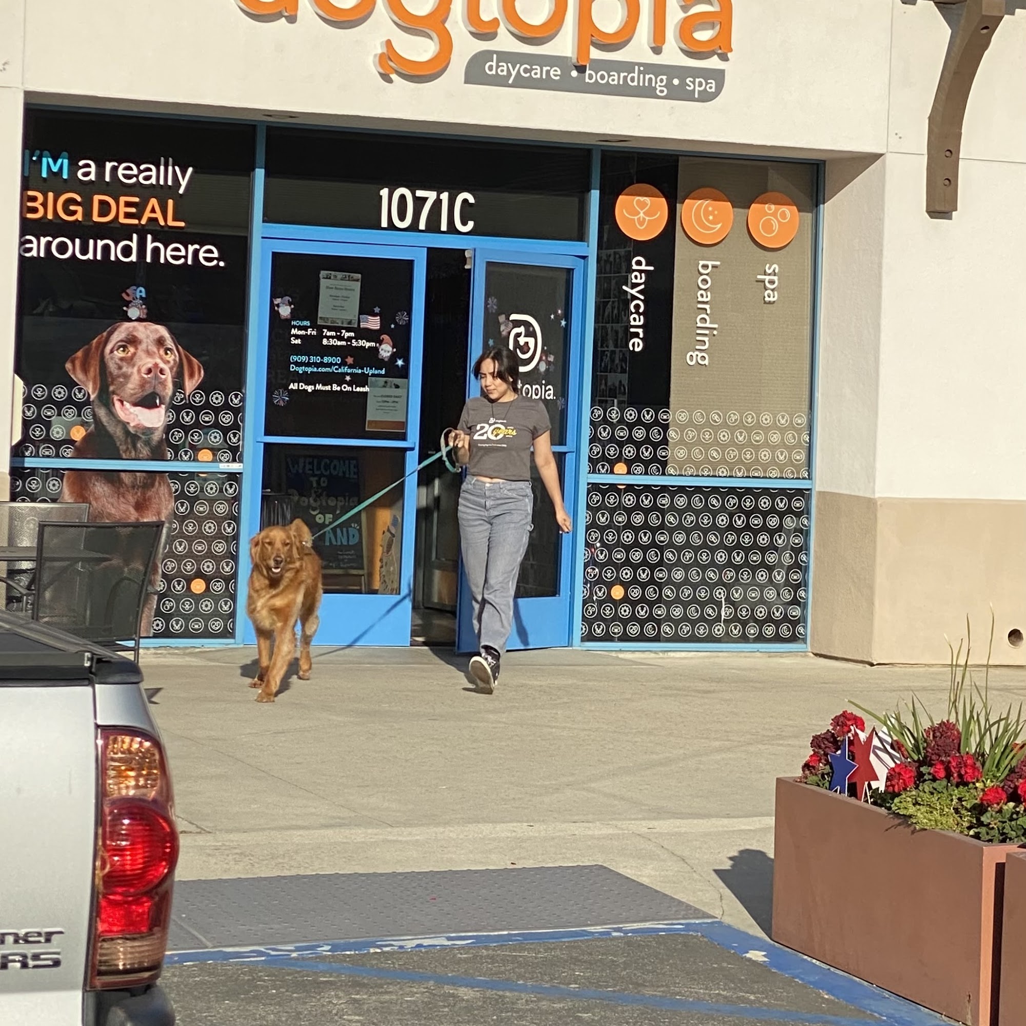 Dogtopia of Upland Upland