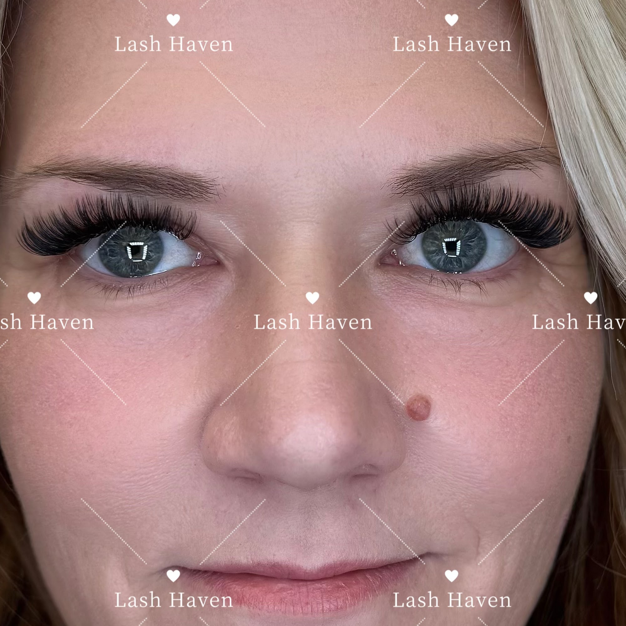 Lash Haven