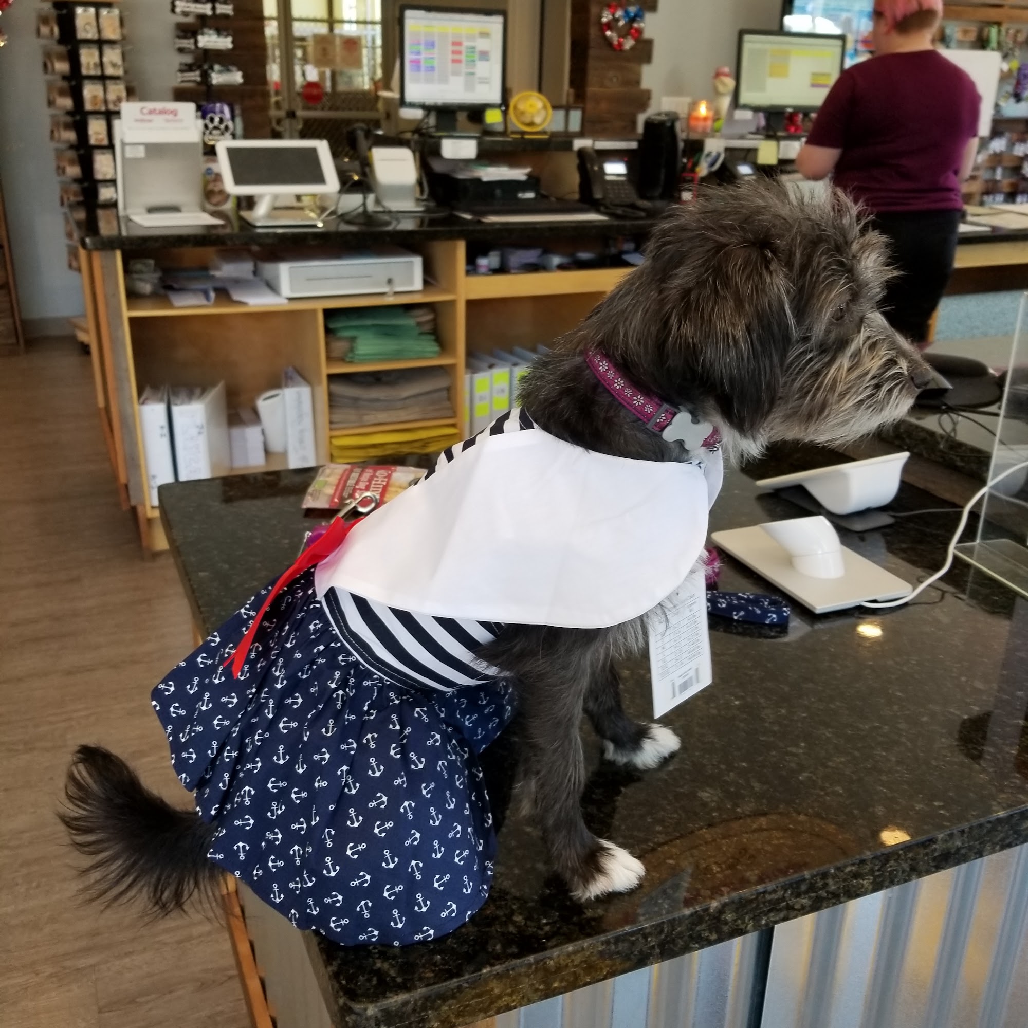 Pawsh Place | Veterinary Center & Boutique Vacaville